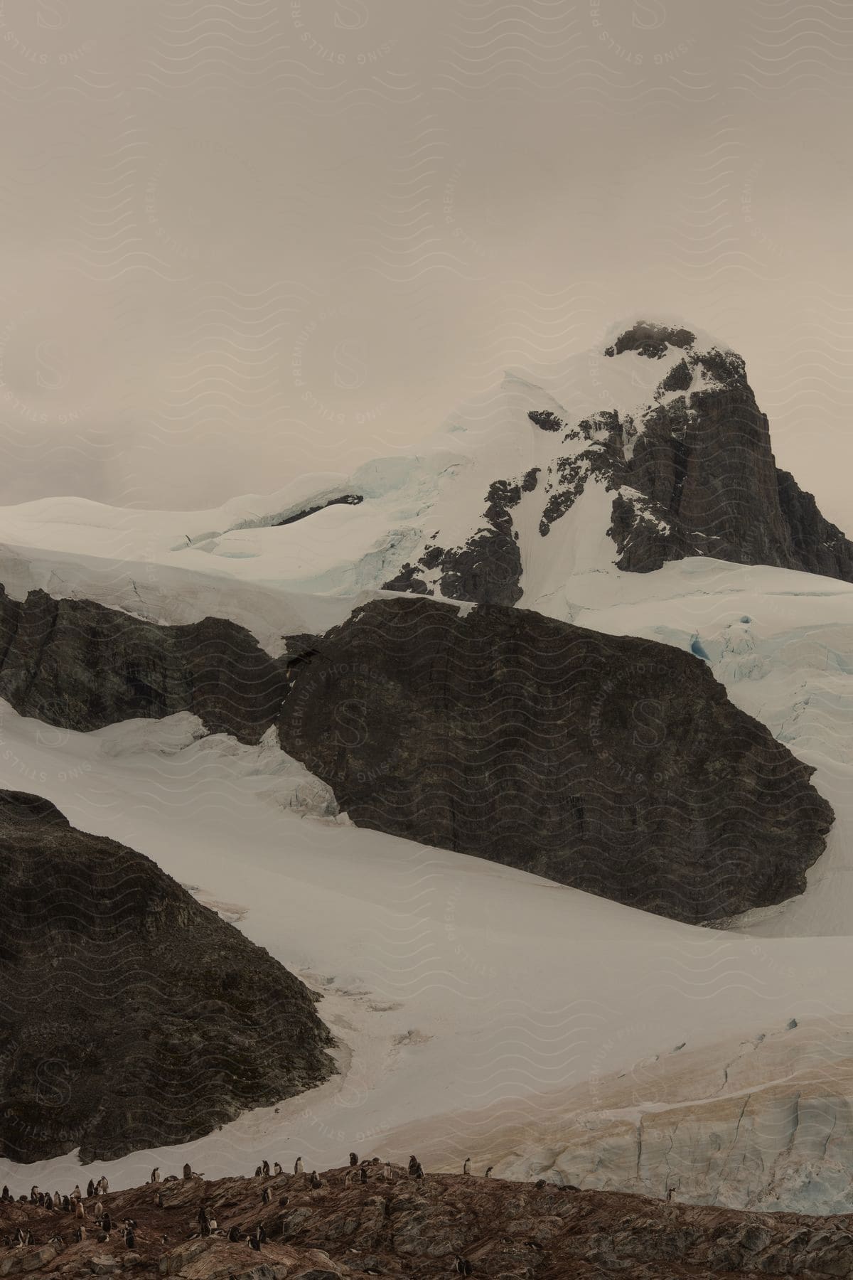 A snowcovered mountain peak under a yellow sky in the antarctic peninsula