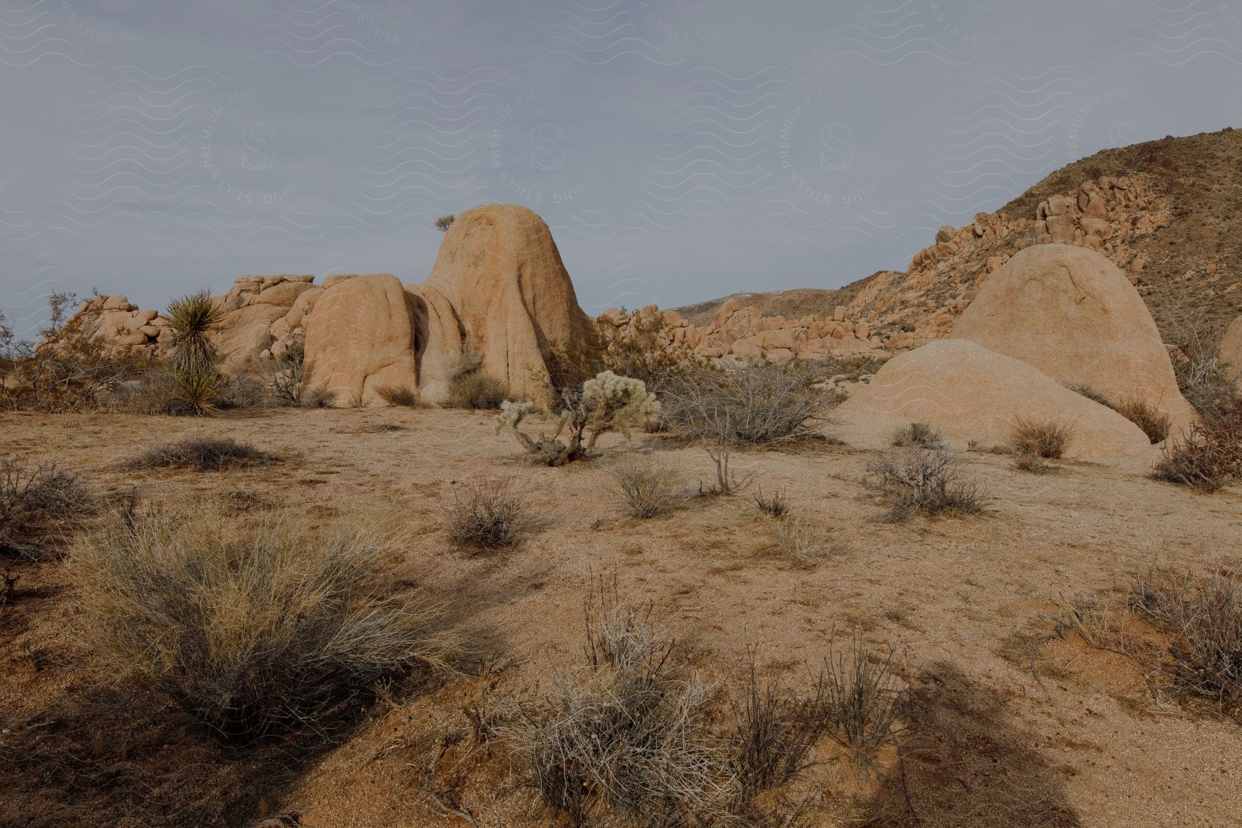 A Barren Desert Landscape With Rocky Ground And Vegetation Under A Clear Sky