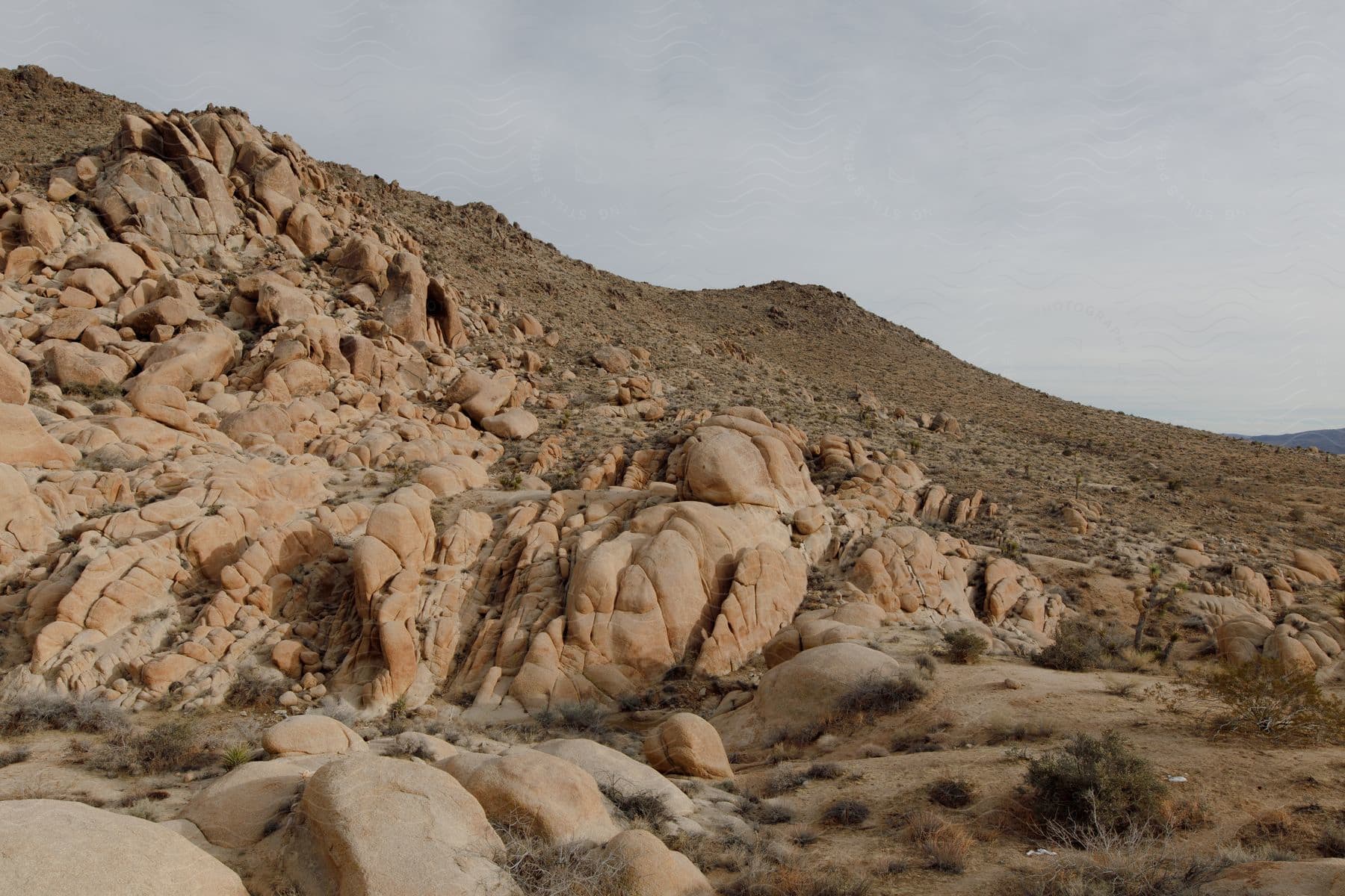 Rocky desert hills in an american desert landscape