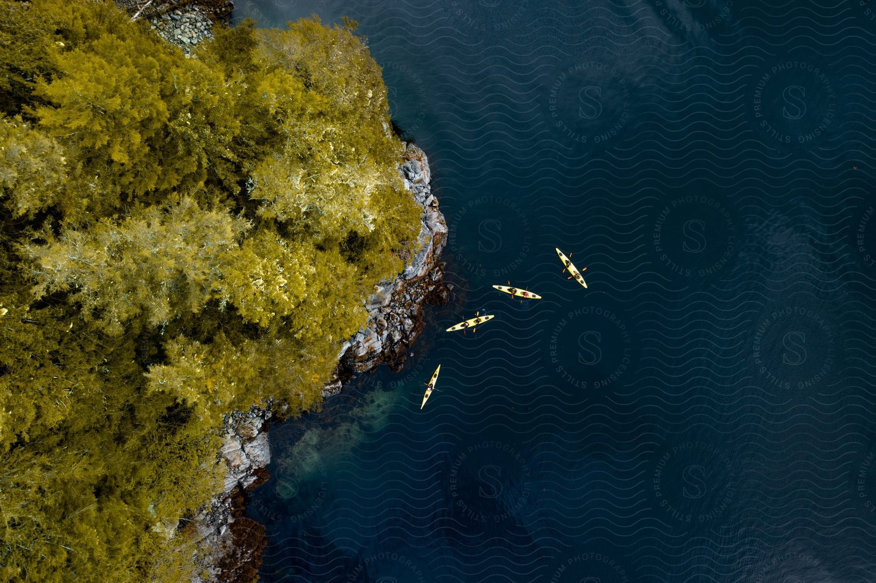 Aerial view of light green trees and a rocky shoreline of a lake with yellow kayaks