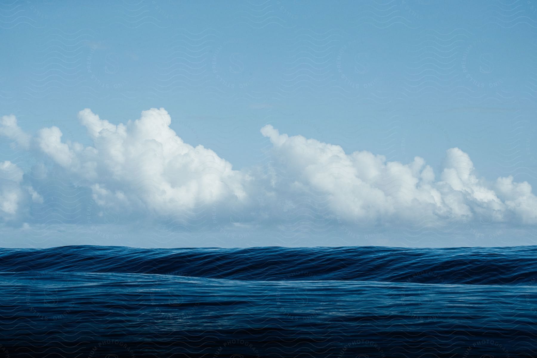 Ocean wave rolling gracefully on the waters surface