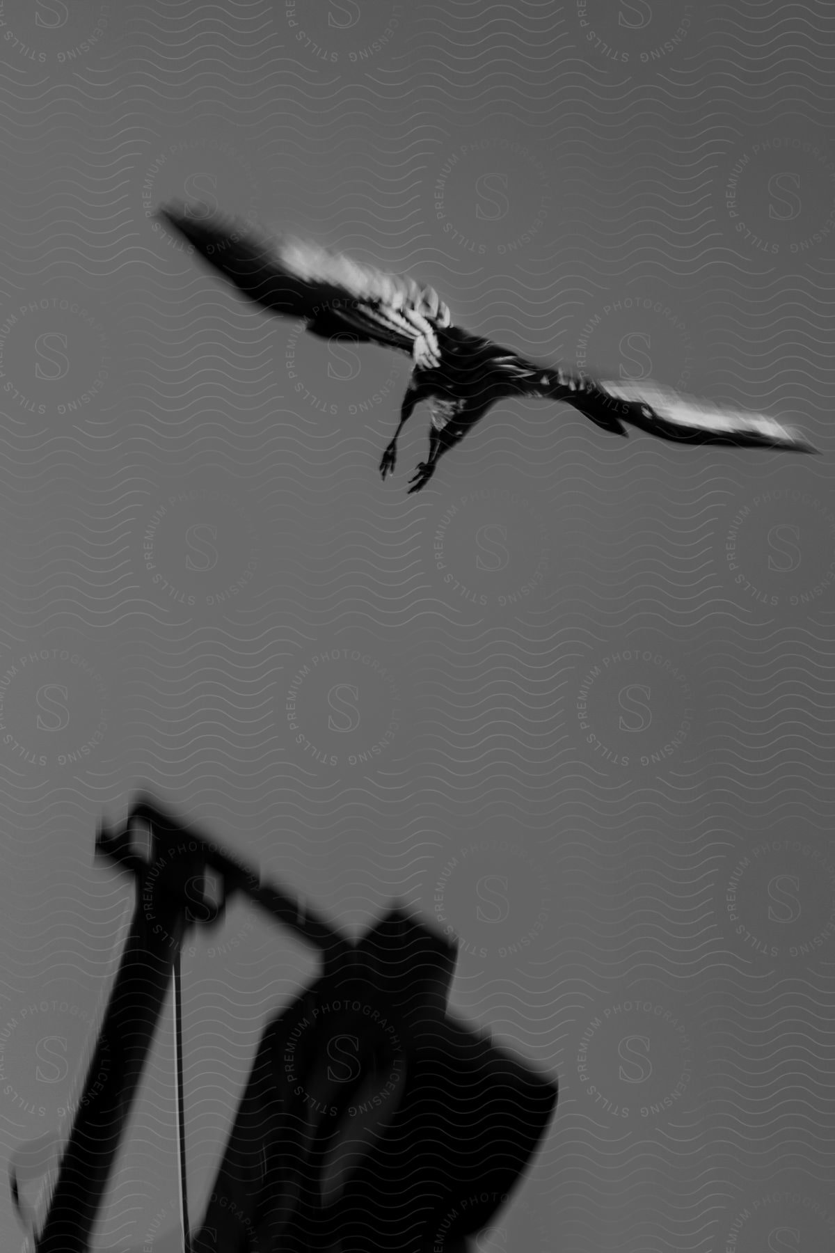 A Black And White Image Of A Bird Flying In The Sky