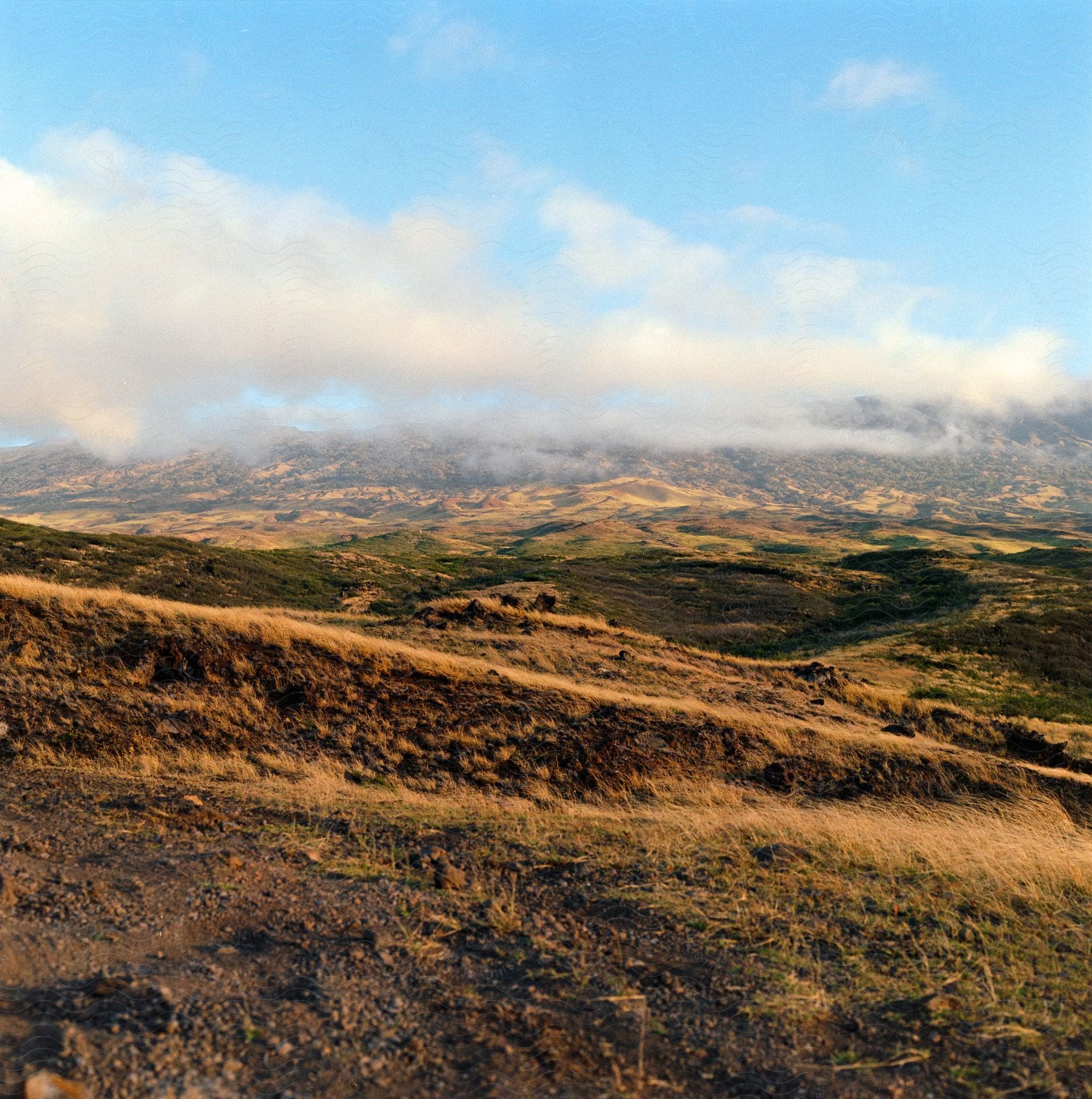 Plants and vegetation grow on mountainside and across the desert under a cloudy sky