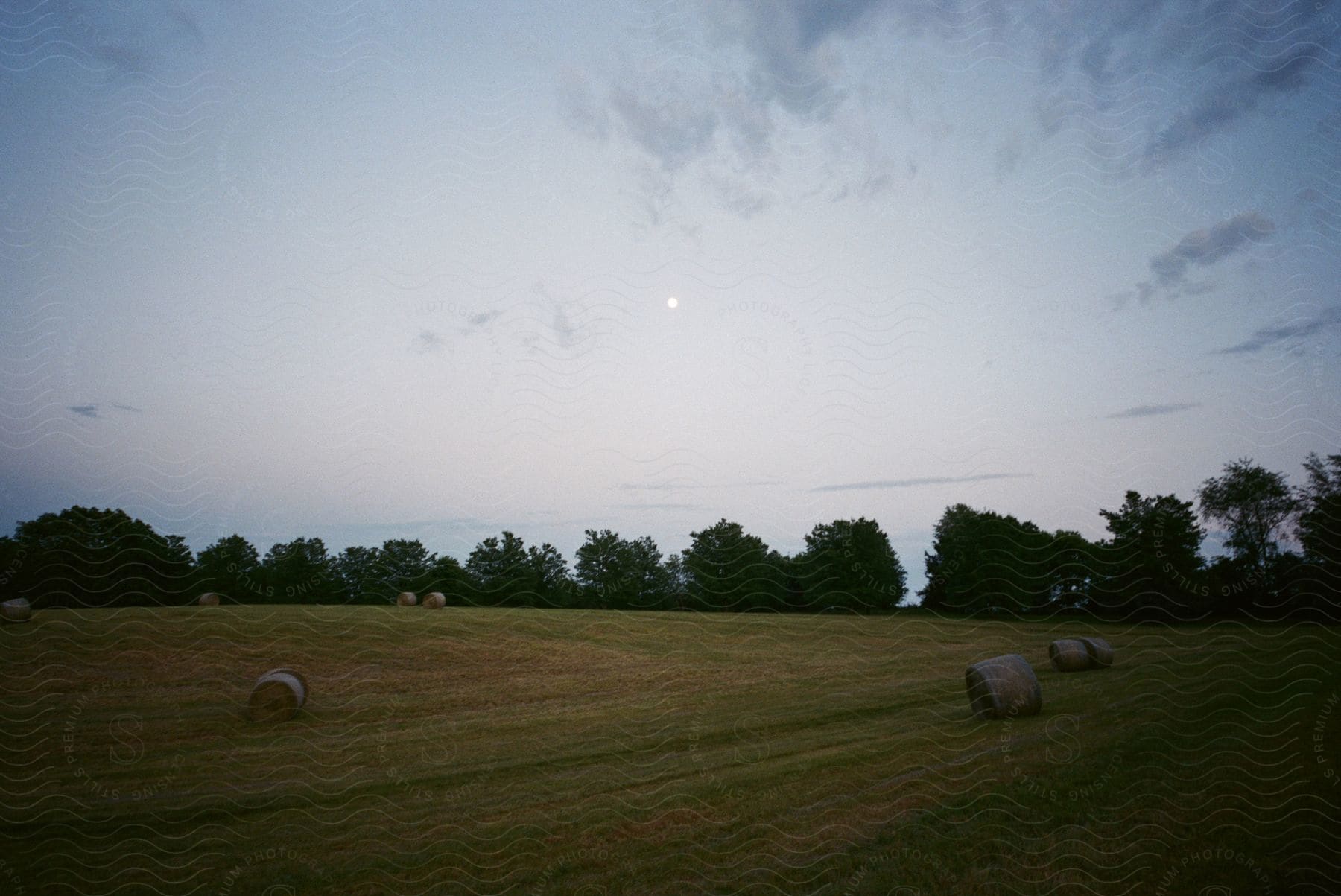 Stock photo of hay bales in a field at dusk in rural virginia