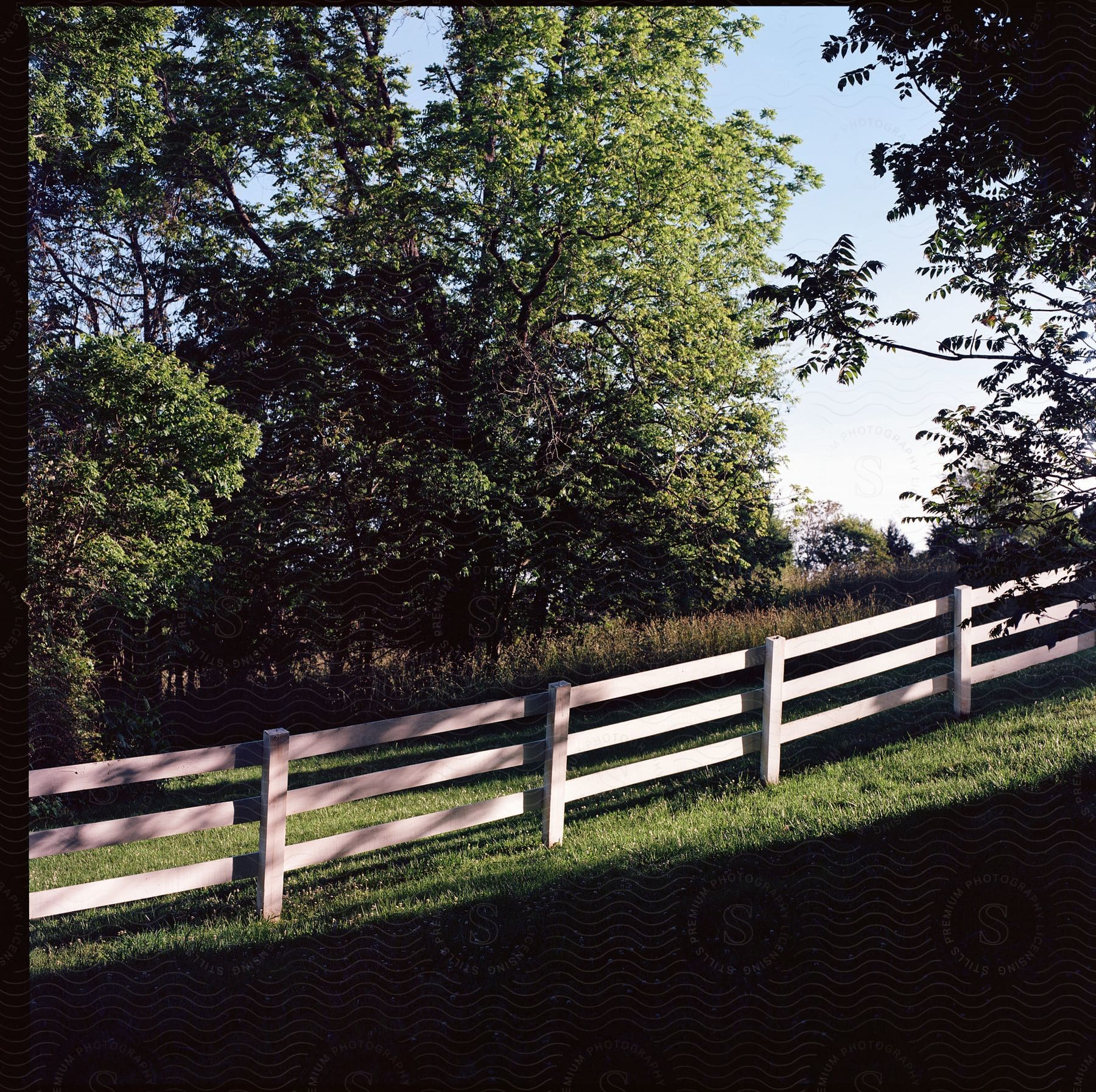 A splitrail fence stands in the countryside with trees and vegetation under the sunlight