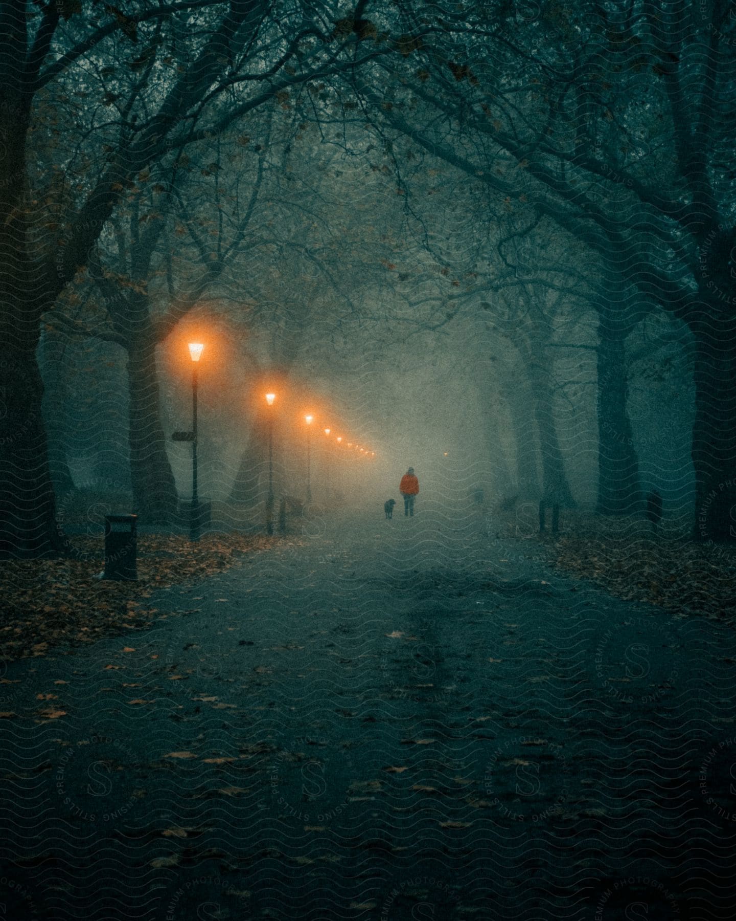 A man walking his dog in a park at night