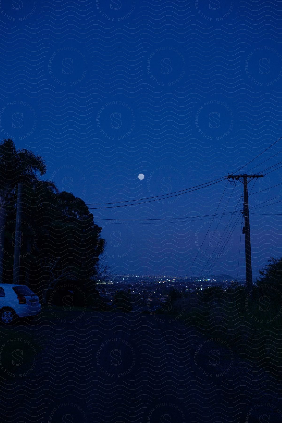 Nighttime Silhouette Of Trees Powerline Pole And Full Moon Over City