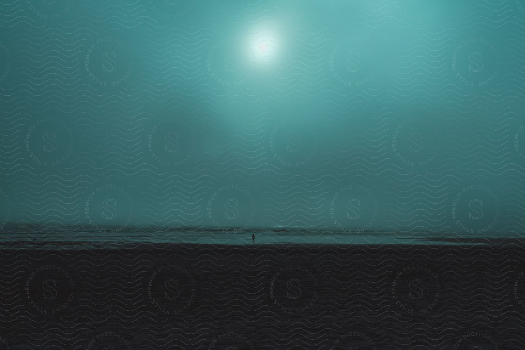 A figure stands on a beach in fog as waves lap at their feet and the sun shines dimly through the mist