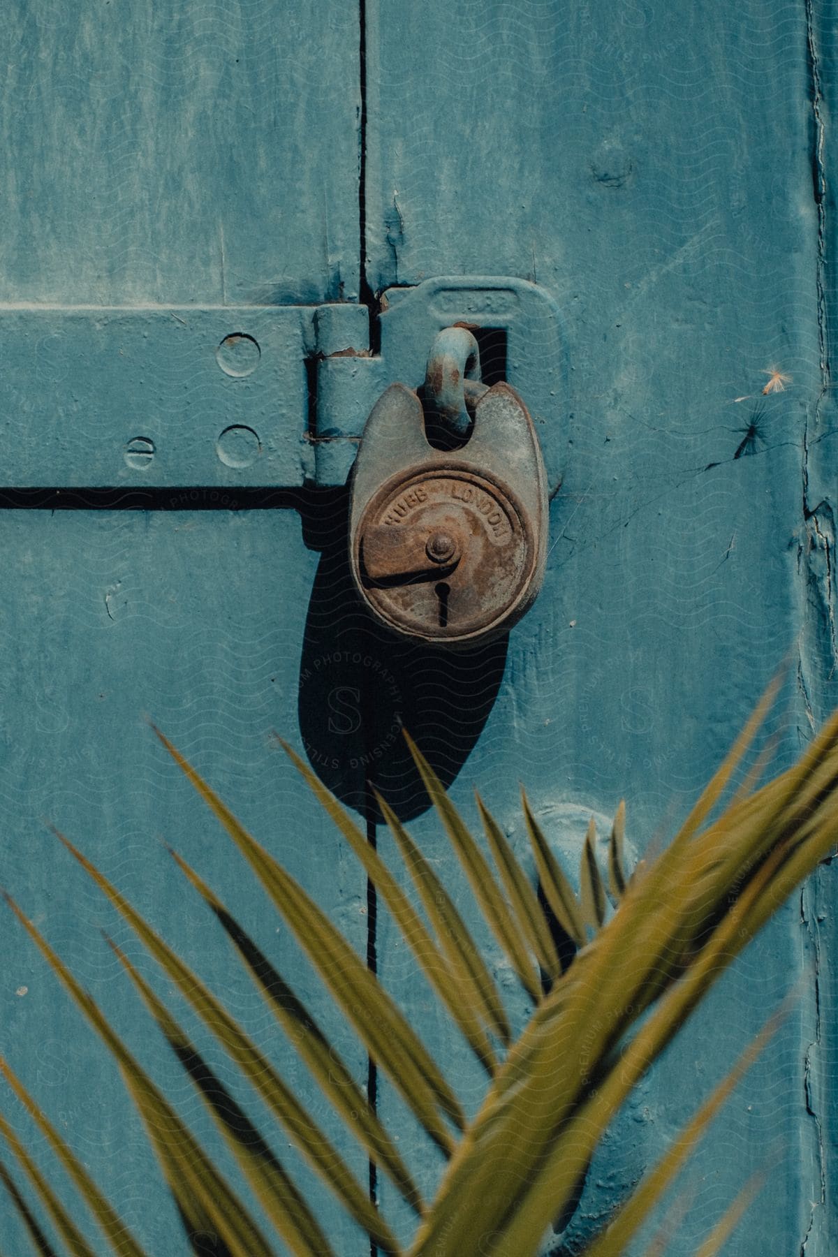 A weathered wooden door with peeling paint showing signs of neglect