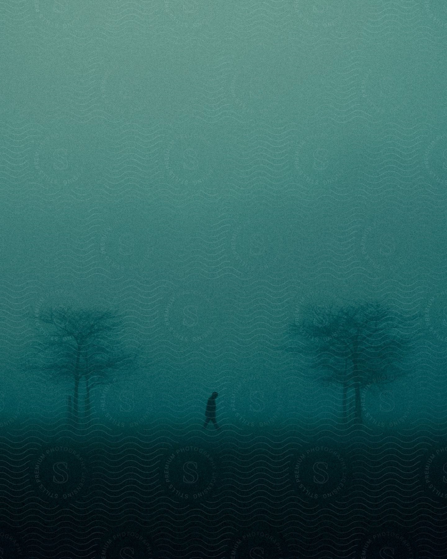 Silhouette of a man walking near bare trees on a foggy evening in london