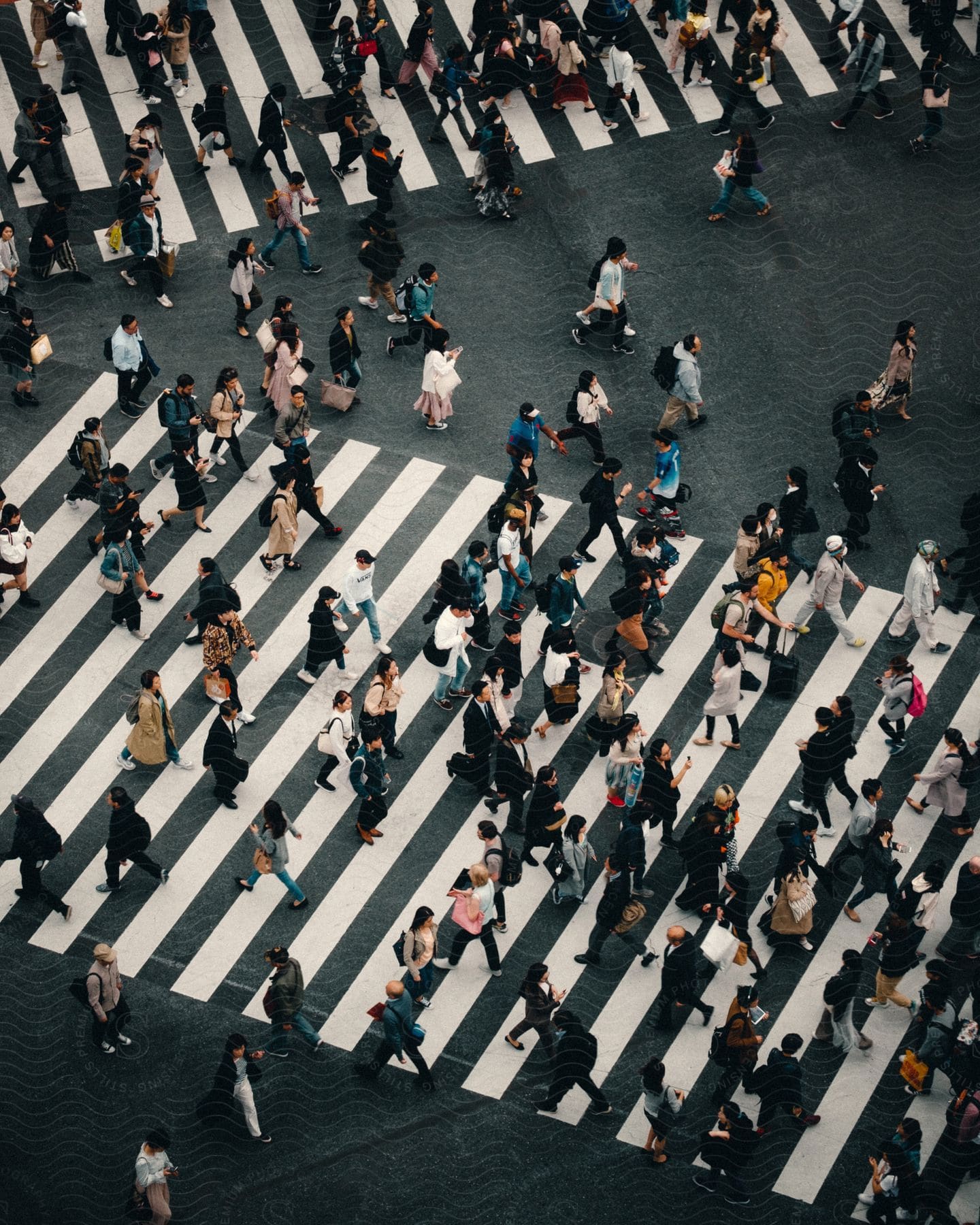 A crowd of people standing in a line on a road