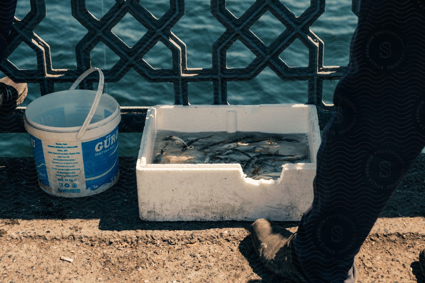 A persons leg in a shoe is seen resting beside a bowl of colorful fish with a bucket nearby