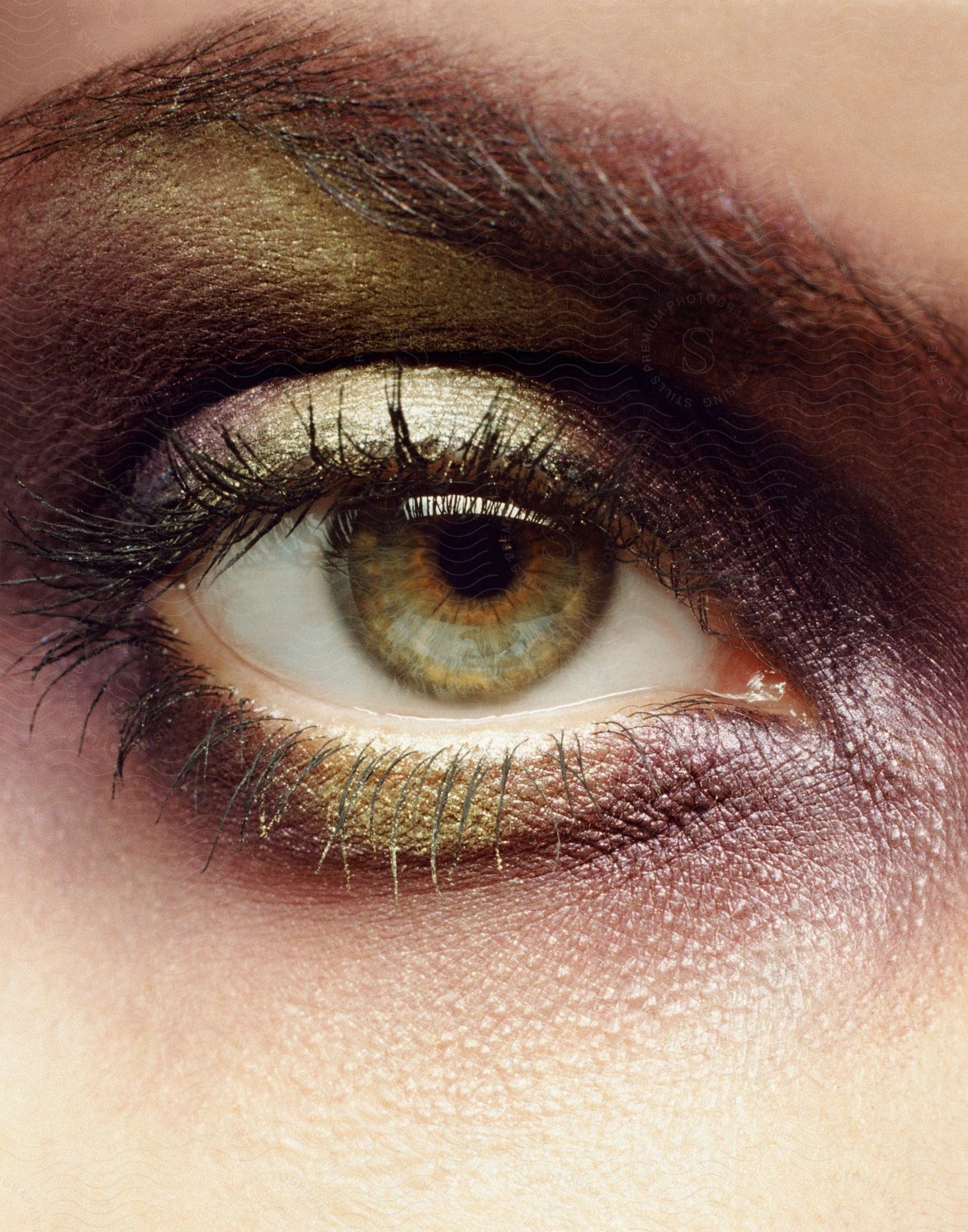 Closeup of a womans eye with makeup