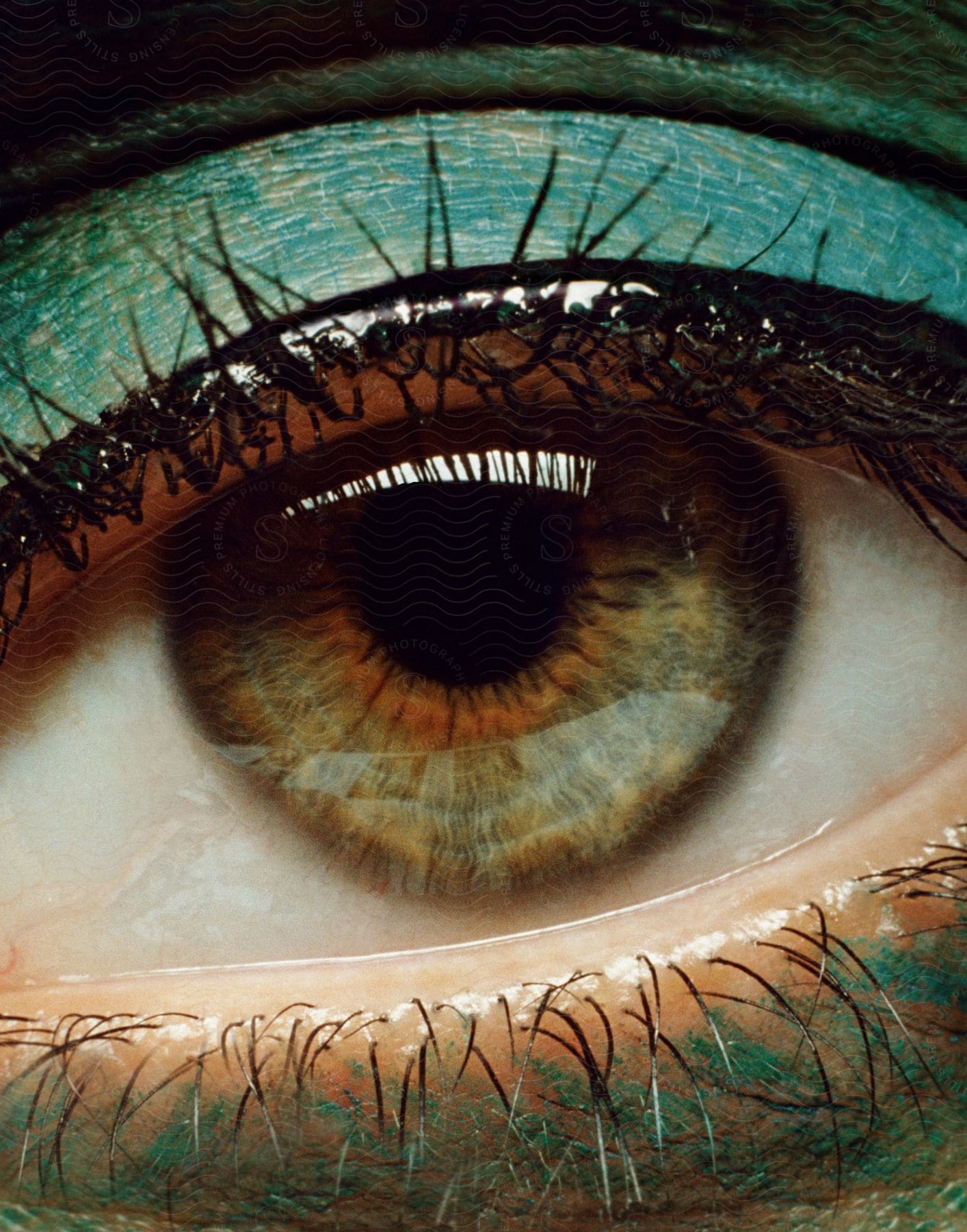 A close up of a human eye with green paint on the skin