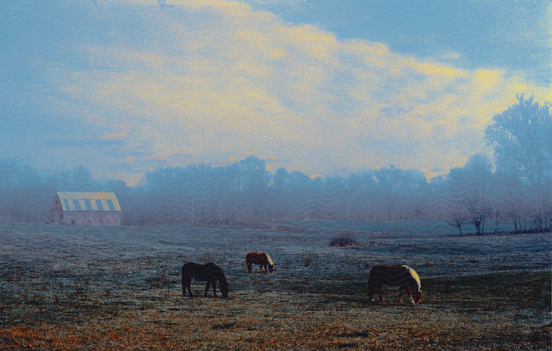 Landscape of horses grazing in a pasture under a cloudy sky