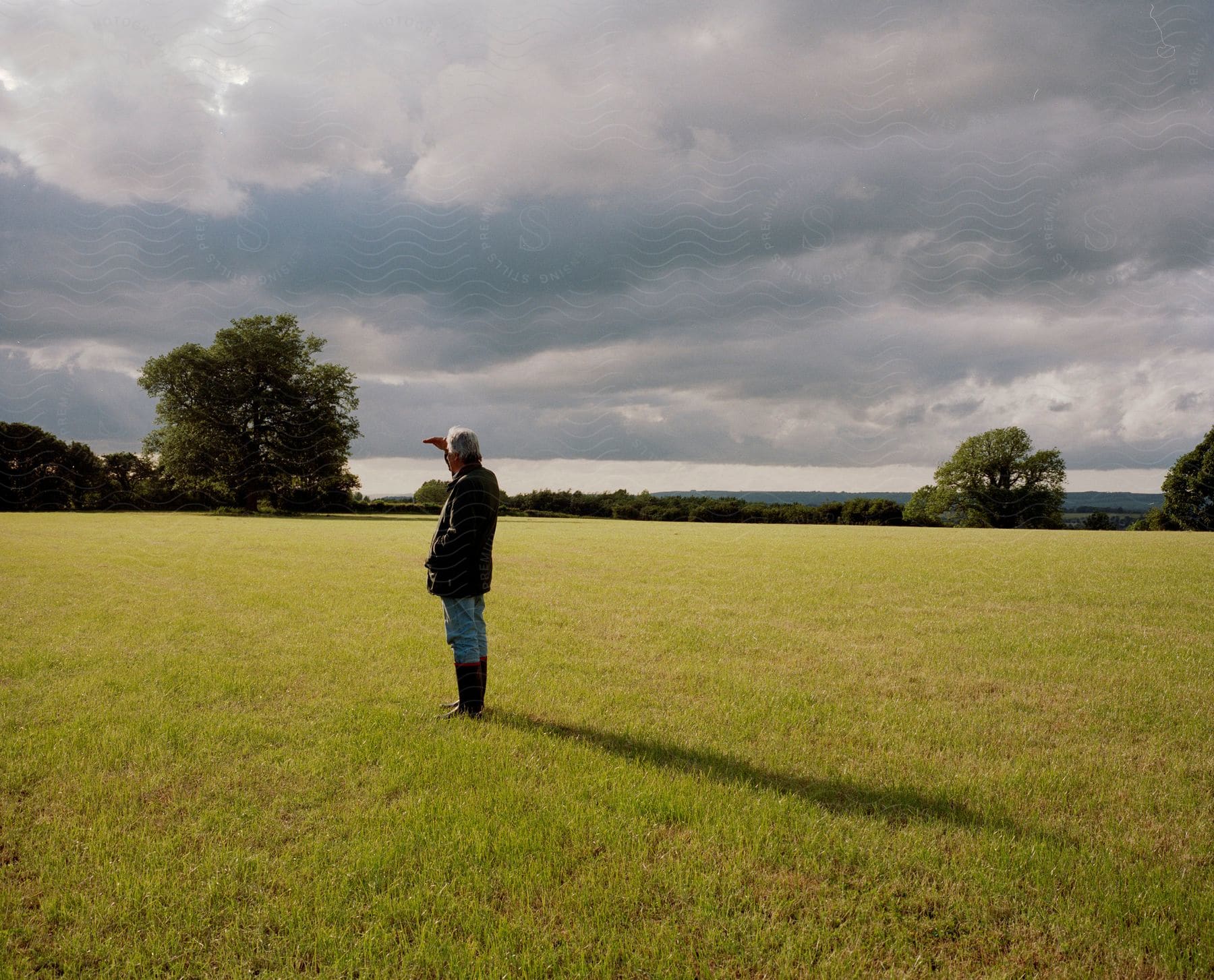 A man stands in a grassy field looking towards trees under a cloudy sky