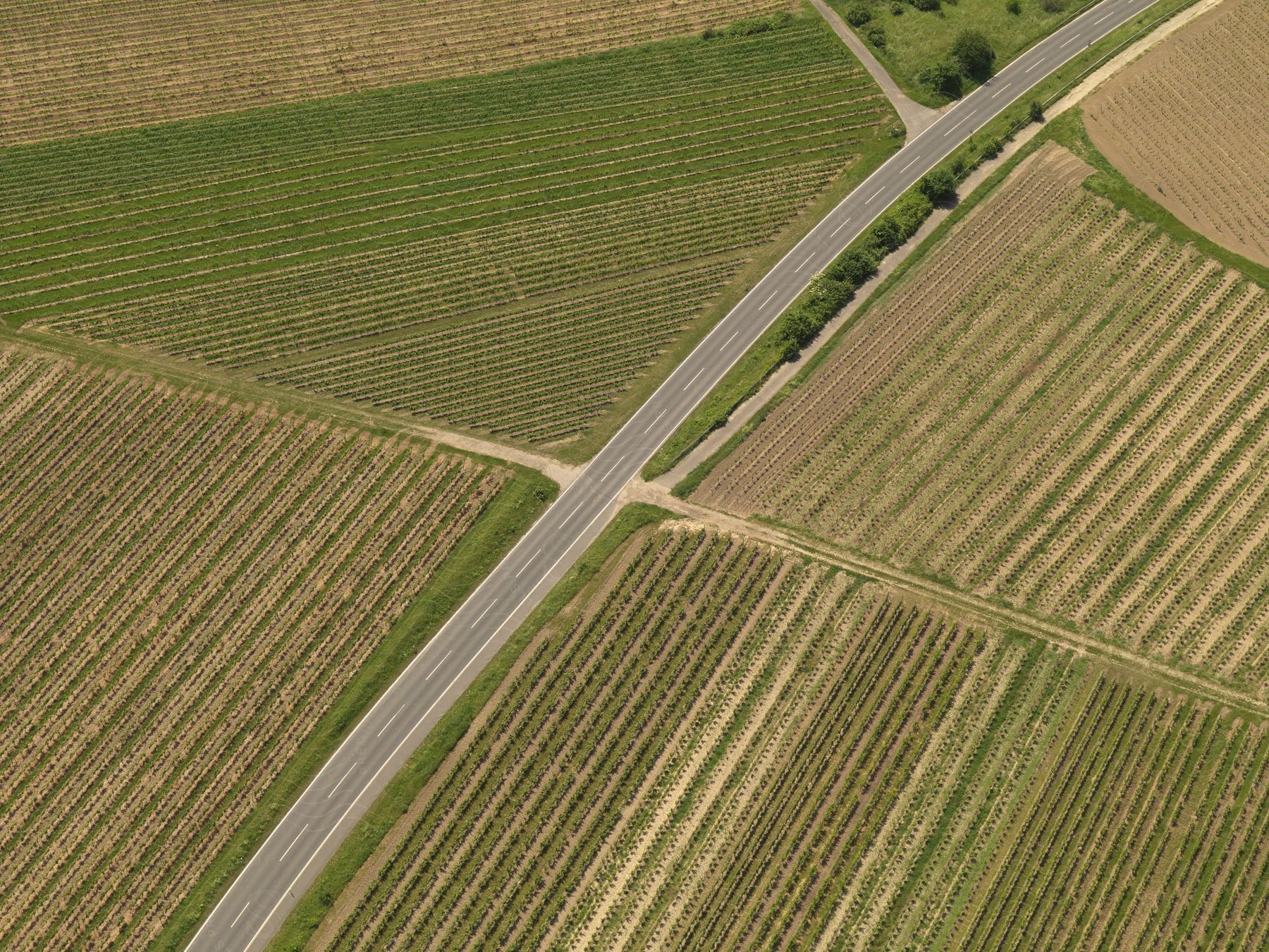 An aerial shot of a road dividing two large farm lands in germany