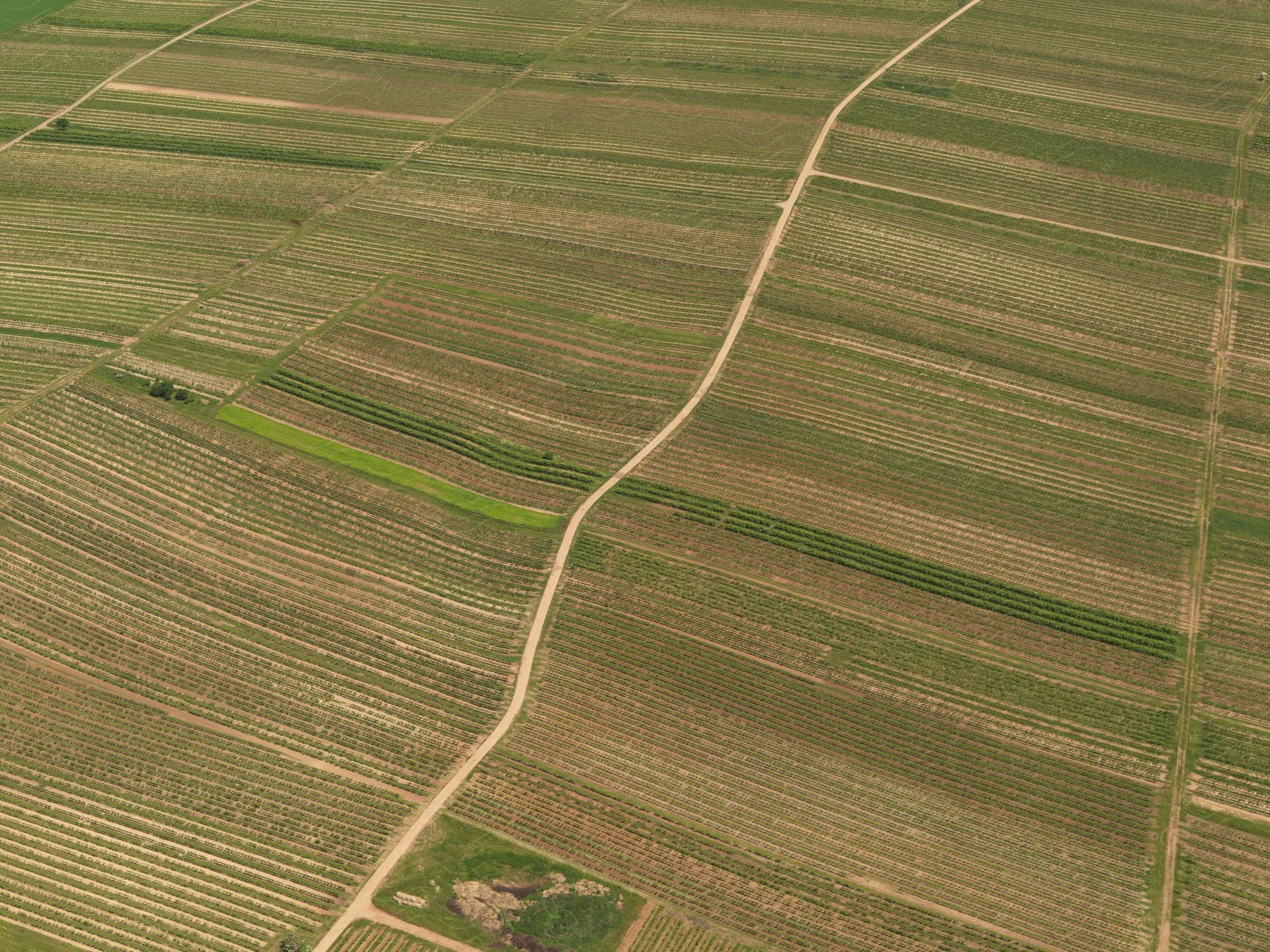 A wide farm land in germany viewed from above