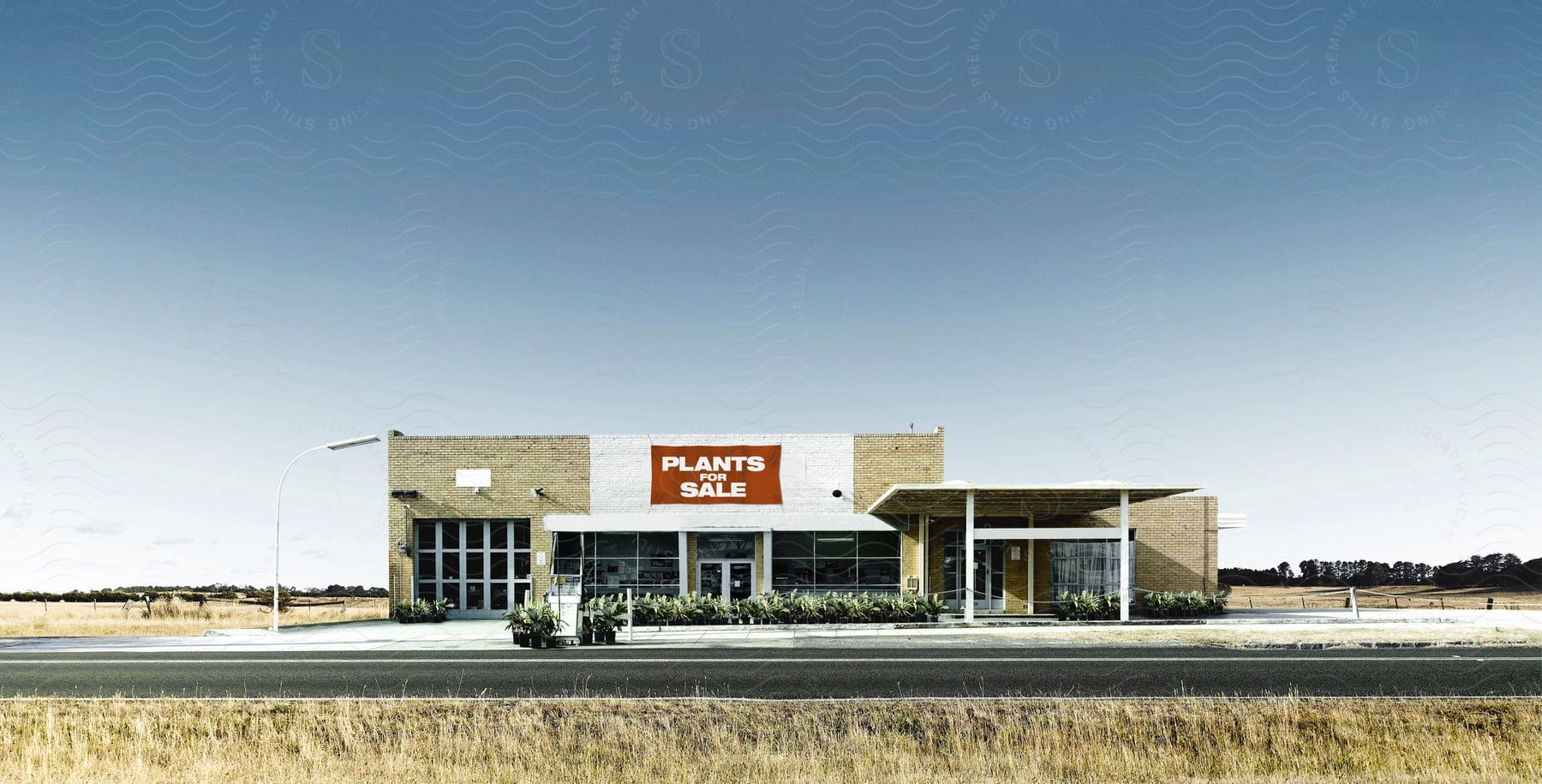 A retail store with a large sign stating plants are for sale sits on the side of a road