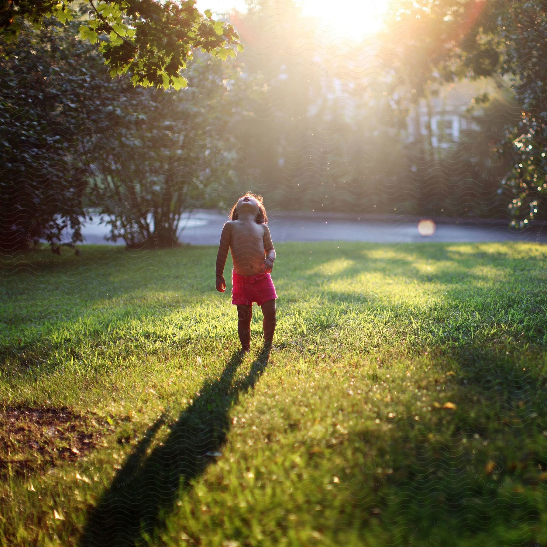 Little boy in red shorts standing on the lawn looking up to the sky