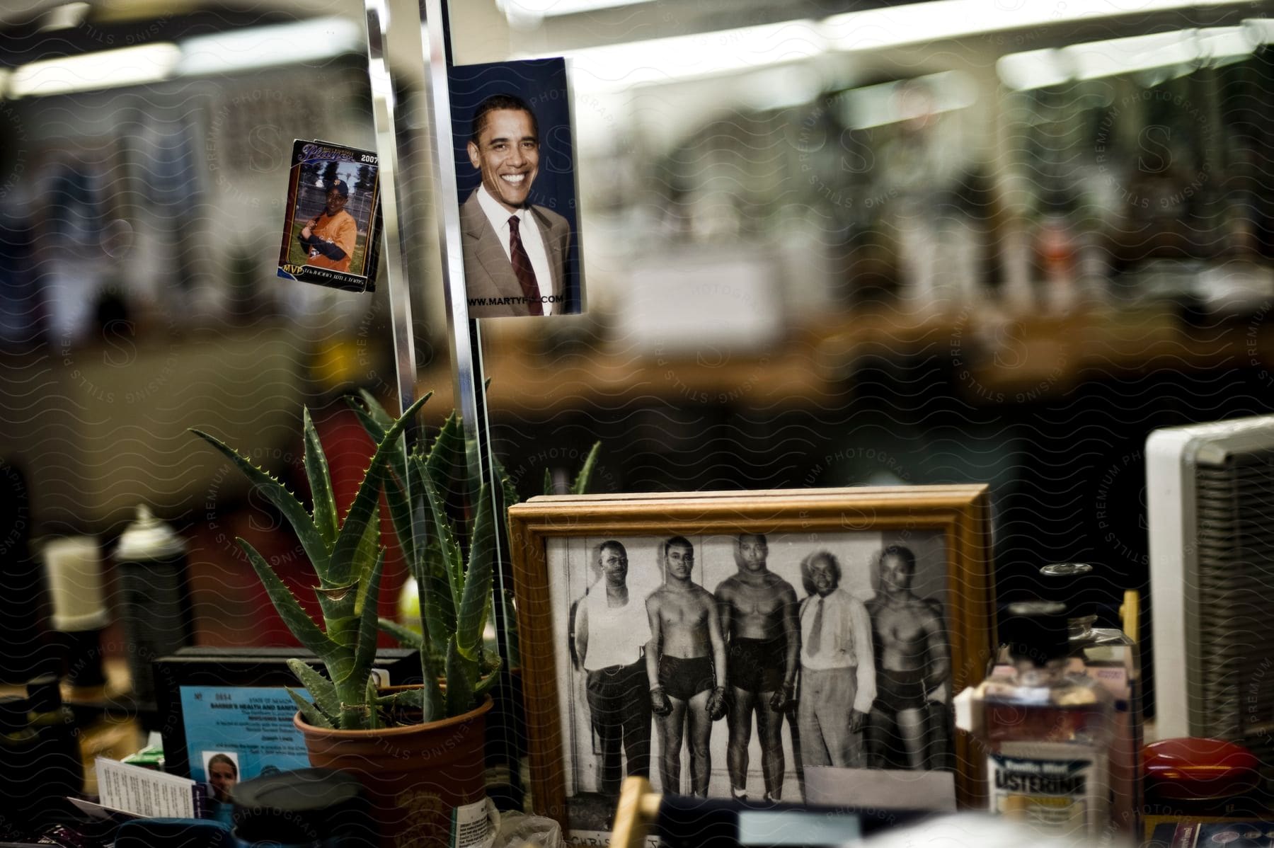 An office desk with photographs a flower pot with an aloe vera plant and other items