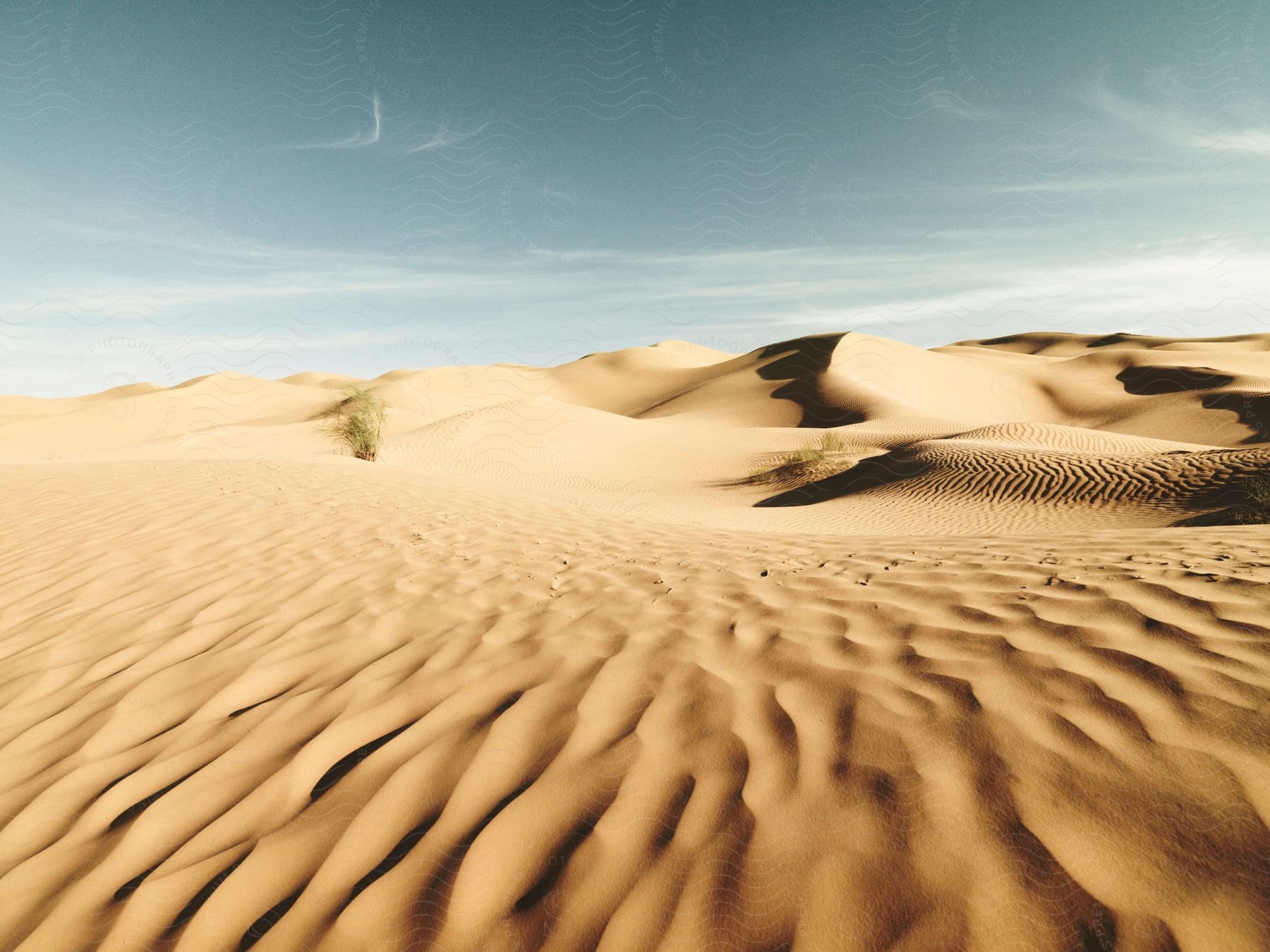 Desert with small dunes on a sunny day