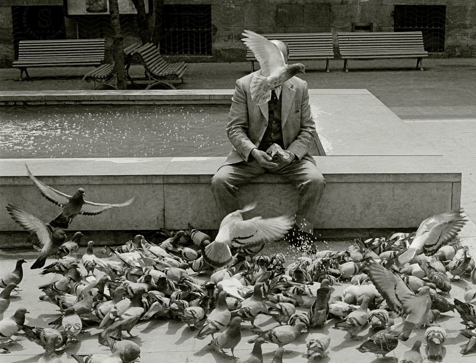 A man sitting on a bench with a water fence and many doves on the ground in front of him
