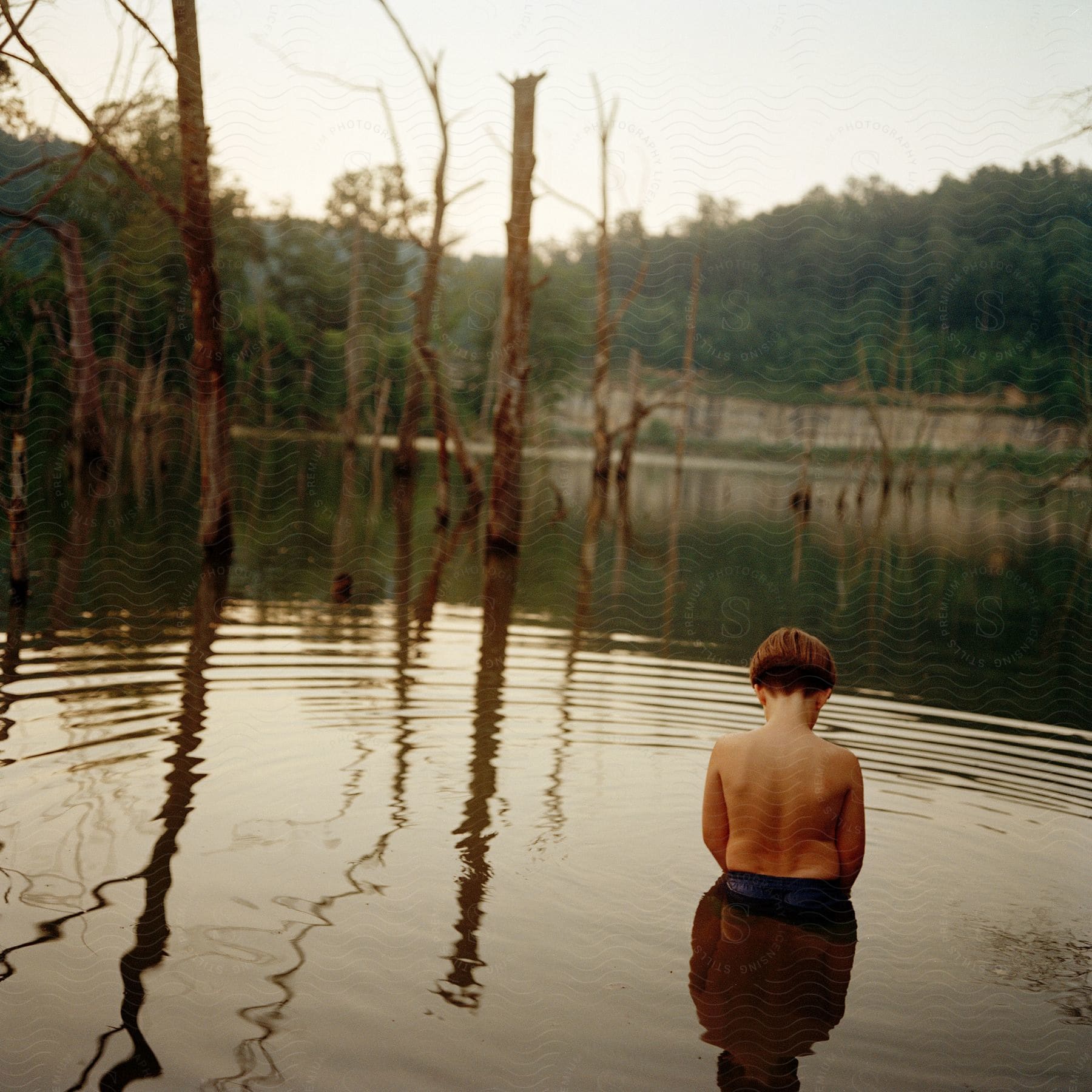 Stock photo of young boy bathing on a river seen from the back