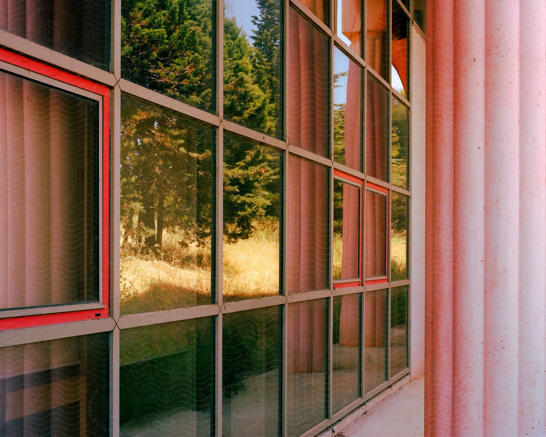 Mirrored glass window to forest landscape