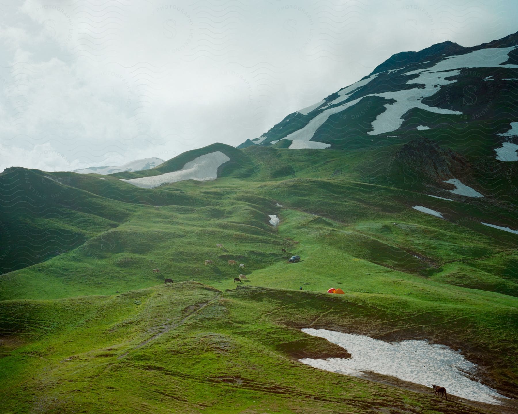 Mountain trail embraced by green vegetation offering a refreshing hiking experience