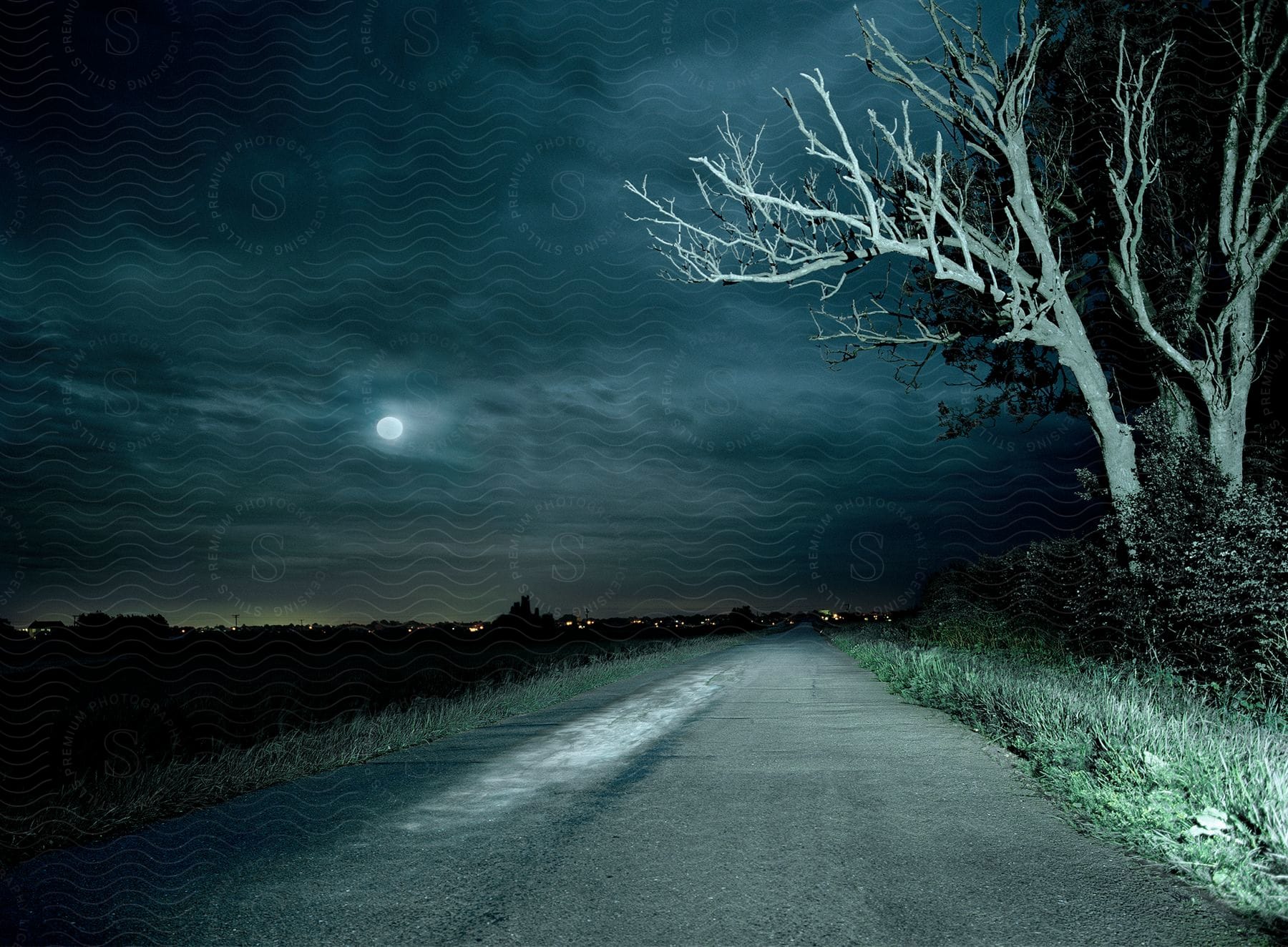 Landscape of a road with vegetation on a cloudy night with a full moon