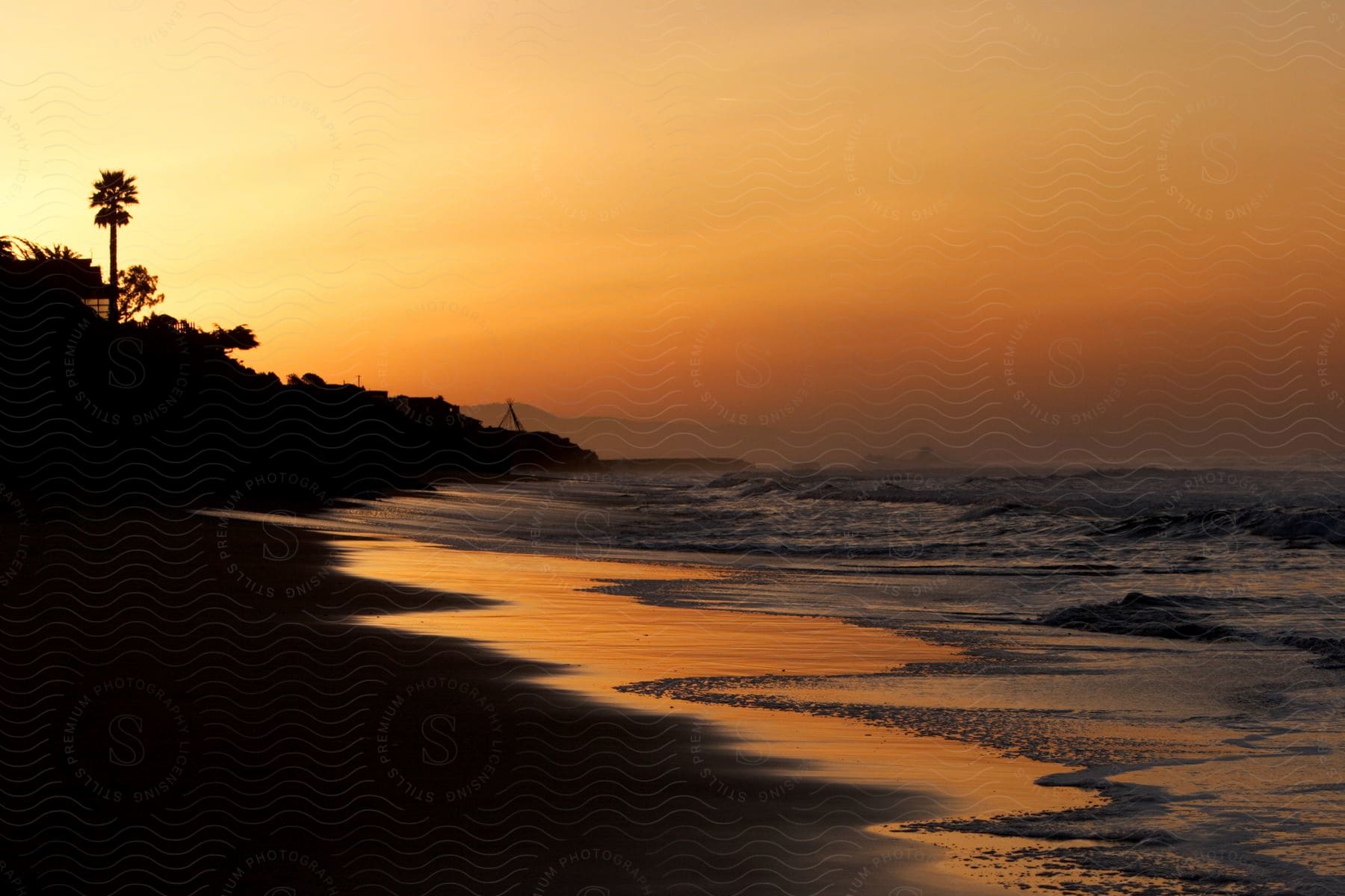 Palm tree silhouettes on a coastal bank at dusk under a hazy sunset sky with mountains in the distance