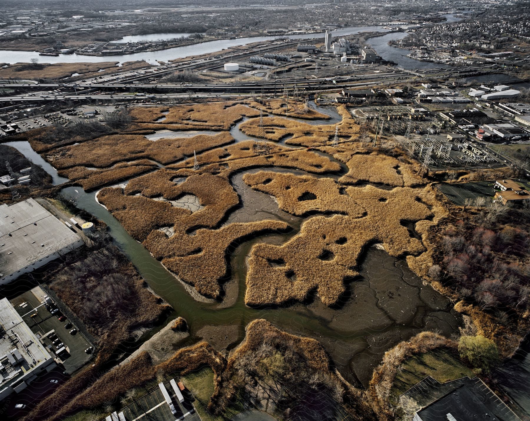 Aerial view of tidal creeks and trees near new york city