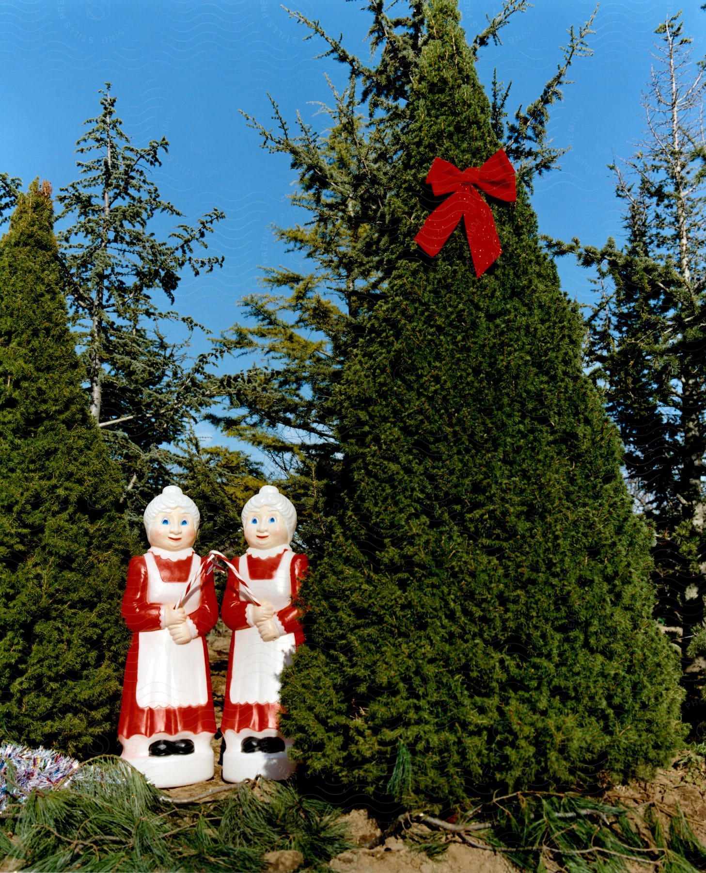 Two plastic mrs claus figurines near pine trees