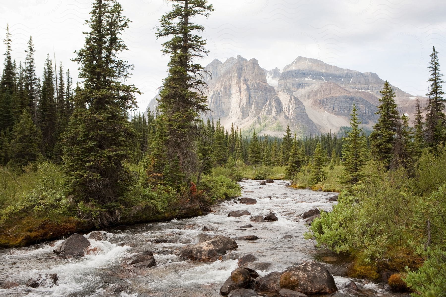 A river flows through a canyon with mountains in the distance