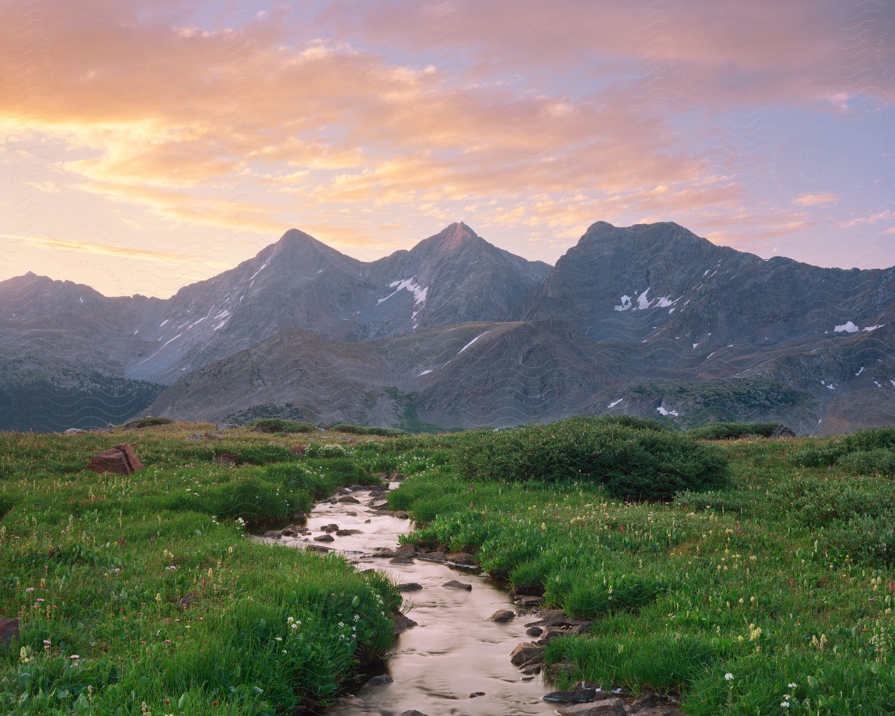 A stream flows through a grassland at the base of a mountain range