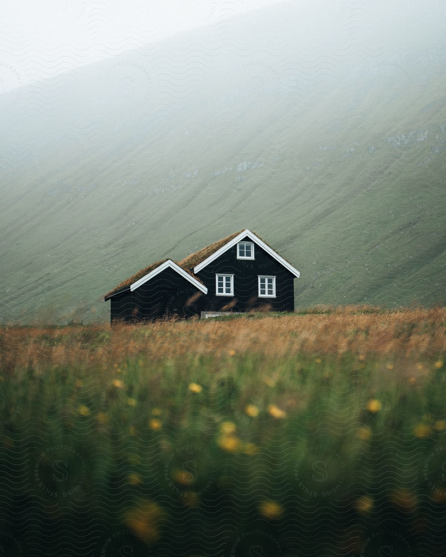 A rural house in the faroe islands with a grassy field and a wooden window