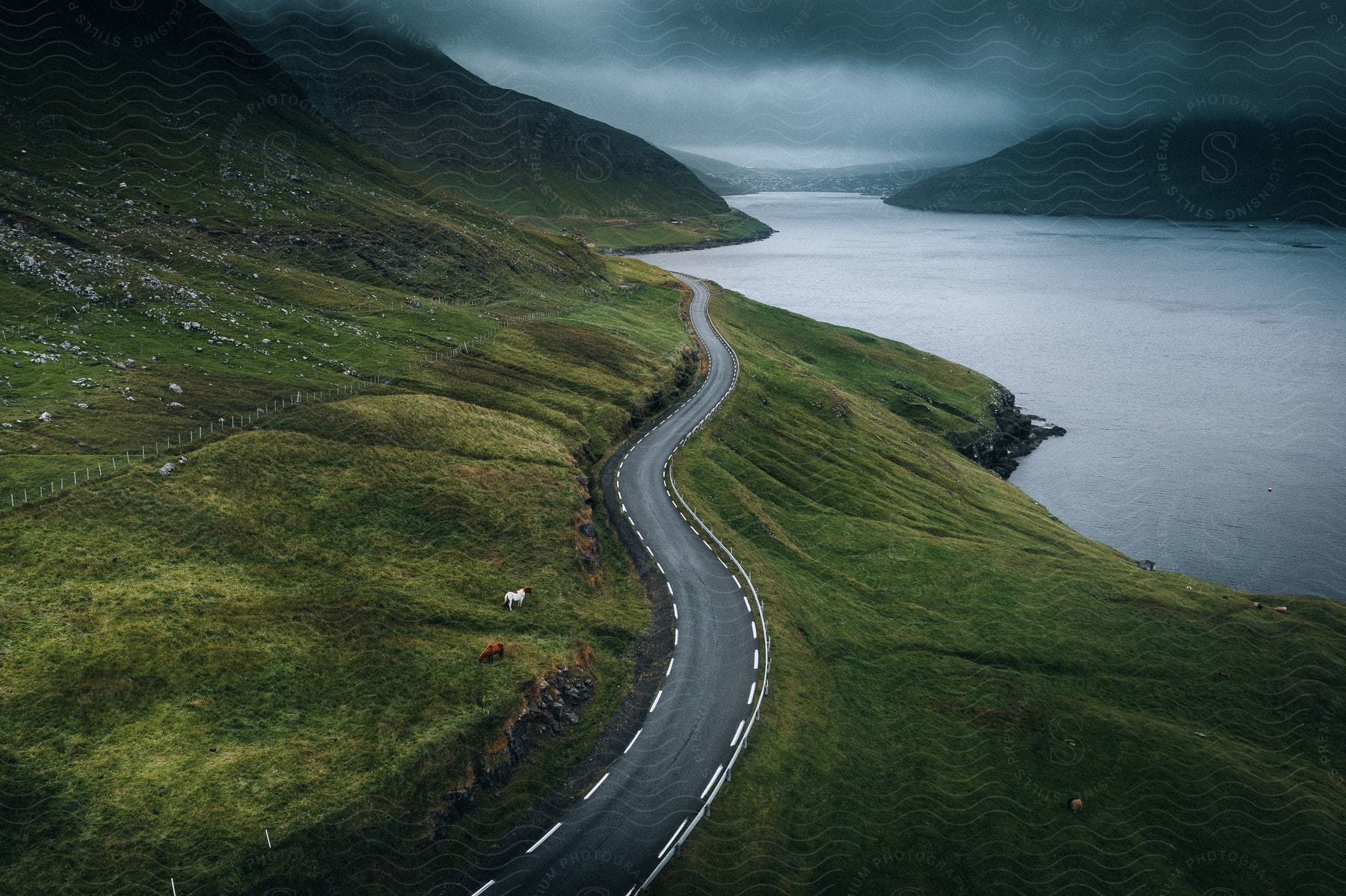 Dark clouds hang over a coastal mountain road with distant mountains as cattle graze on the roadside