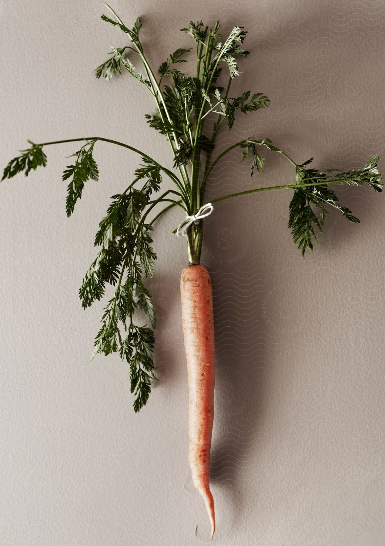 A carrot with its leaves still attached is laying on a white surface