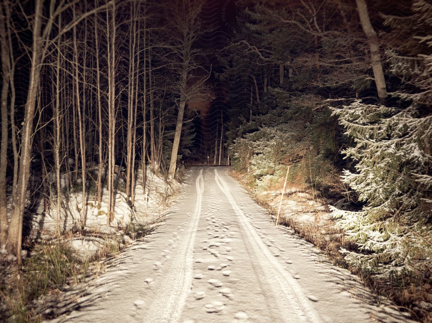 A snowcovered dirt road with trees on the side