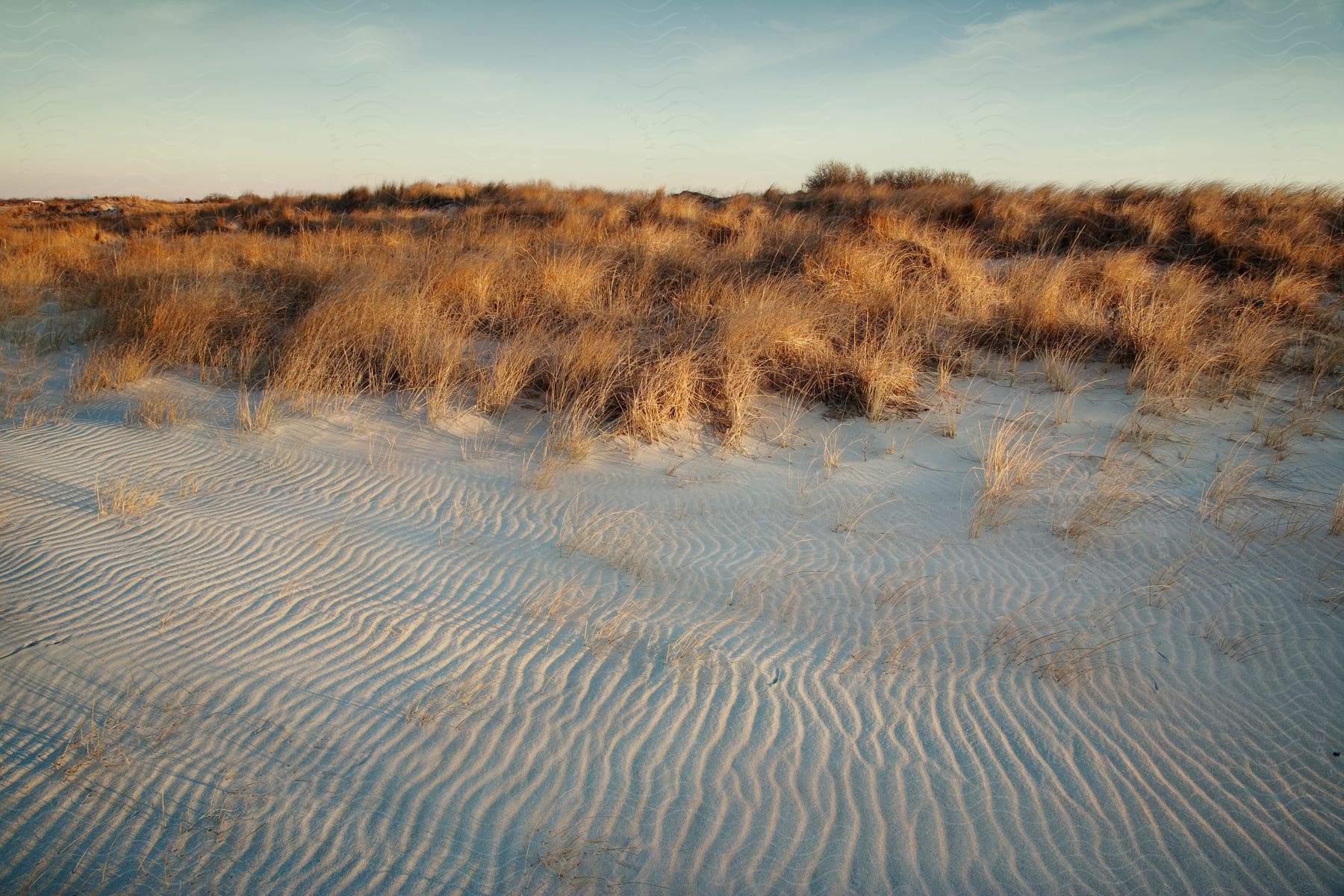 A grassland with sand in an exterior location during the day