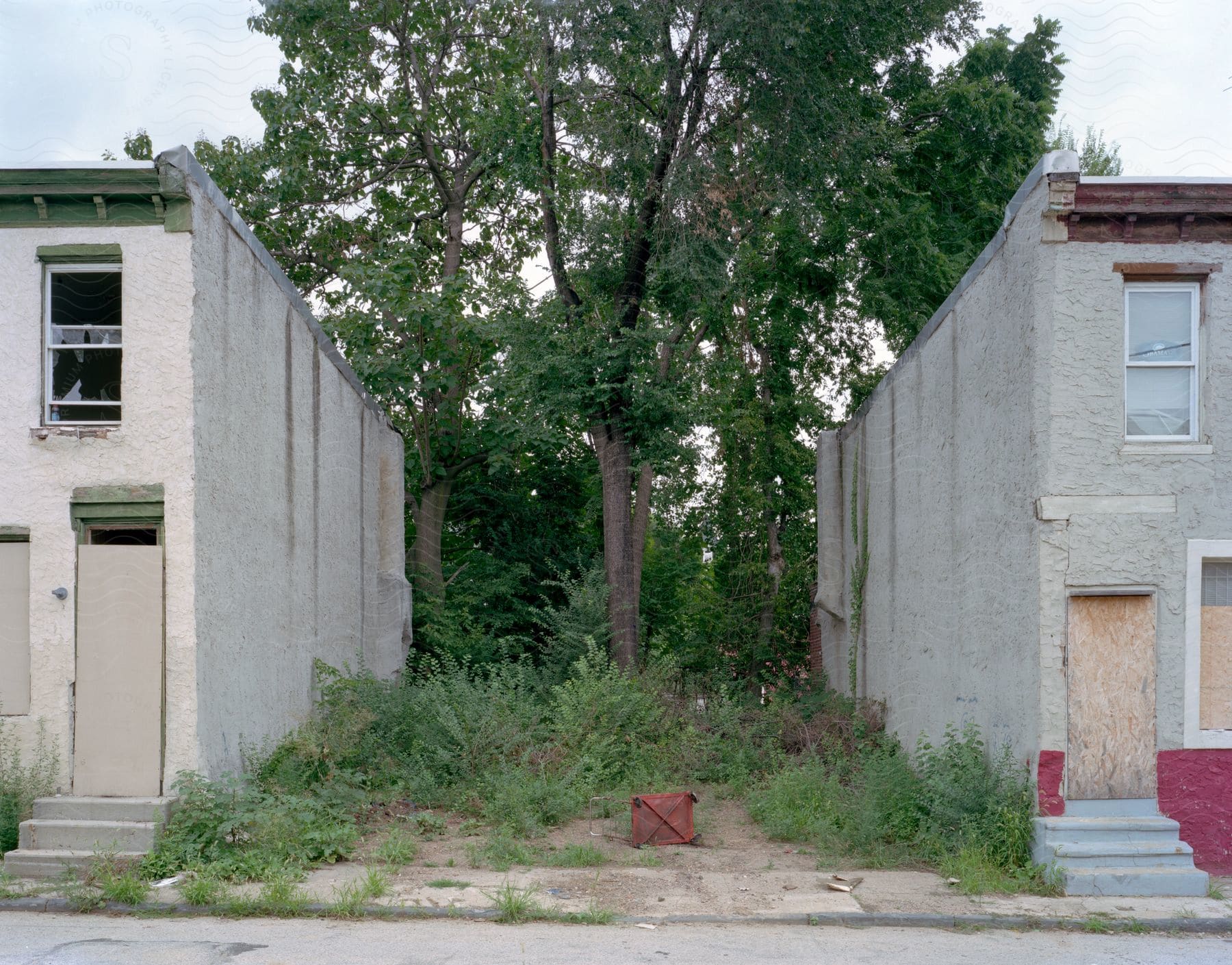 A tree and grass growing through the cement of a vacant lot between two rundown boarded up apartment houses on a cloudy day