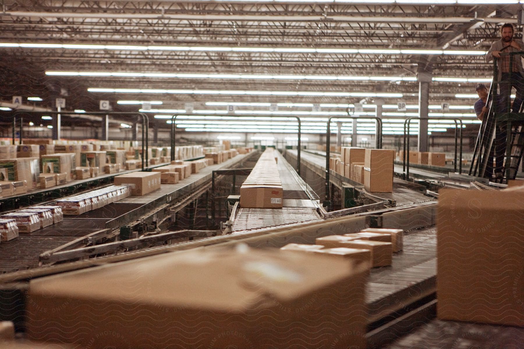 Cardboard box factory on a conveyor belt with two men on a ladder