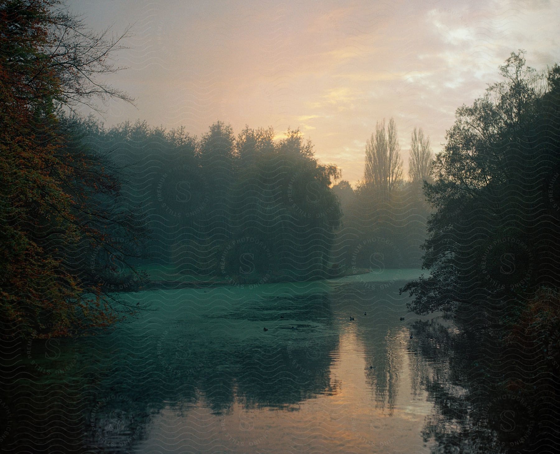 A sunrise over a forest lake in amsterdam netherlands