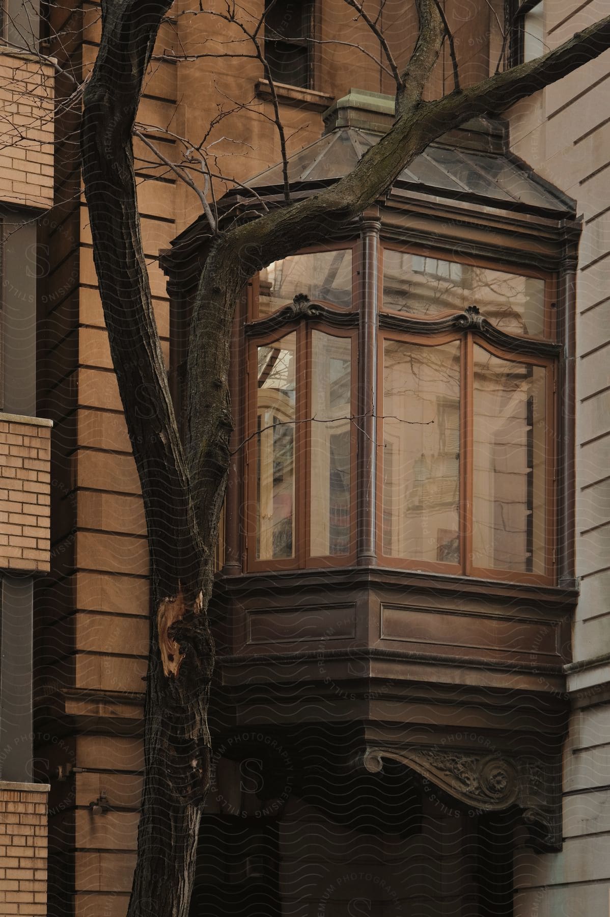 Brown building with corner window and bare tree in front