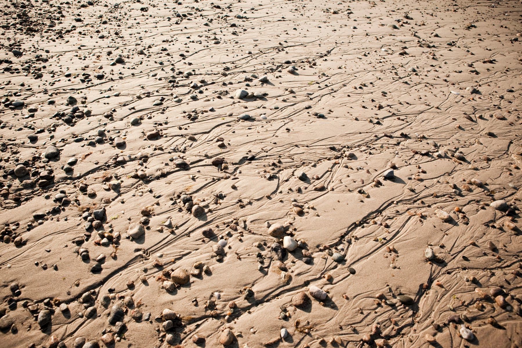 Sandy soil with water marks and pebbles scattered during the day