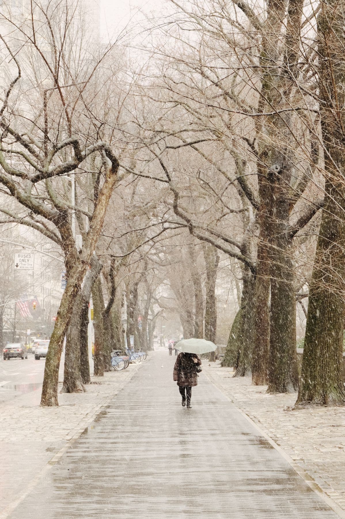 A woman walks down a city sidewalk lined with trees in a snowstorm holding an umbrella