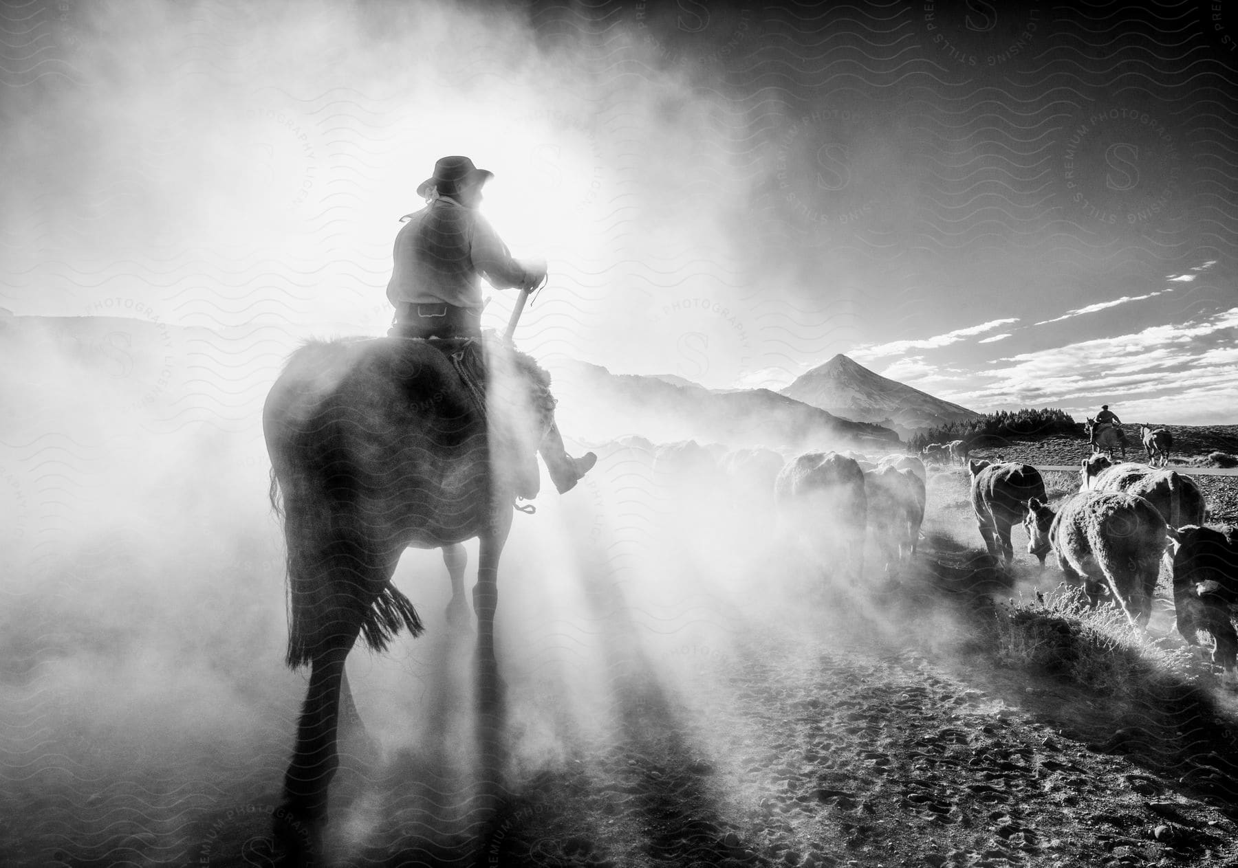 Cowboys herding cattle in the outdoors towards the mountains