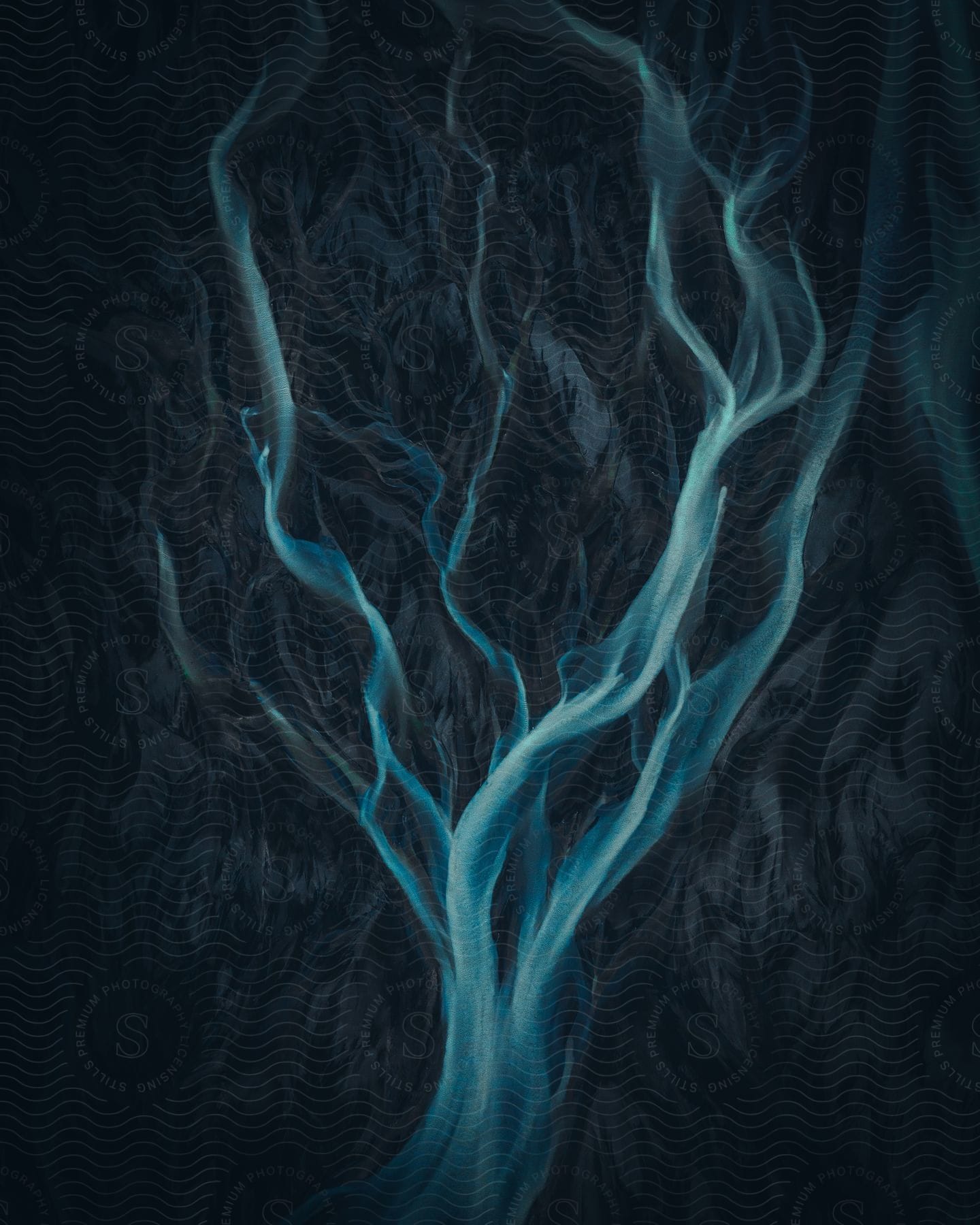 Blue smokelike lines in the shape of a tree creating an abstract artwork