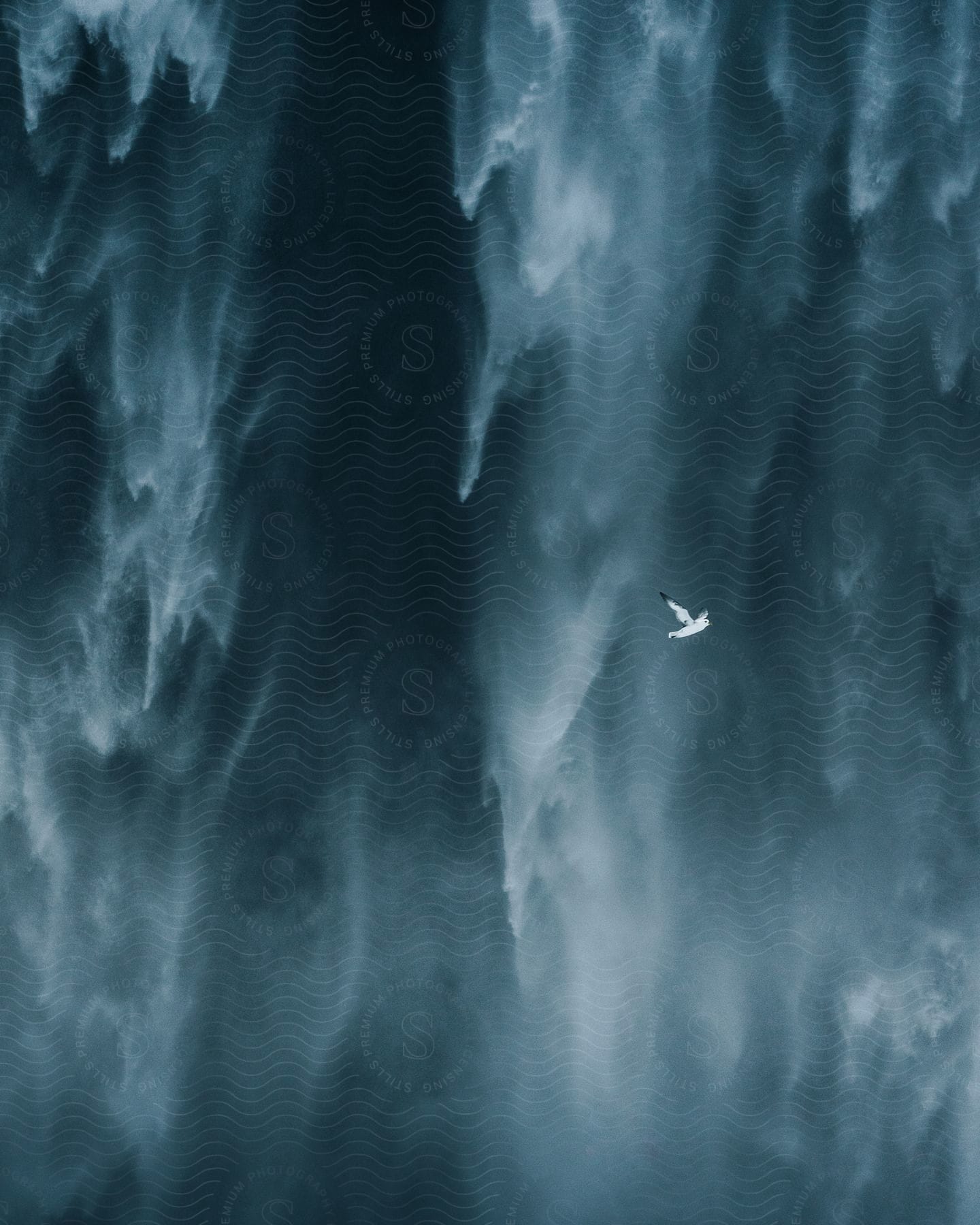 Stock photo of white bird flying next to a waterfall in iceland